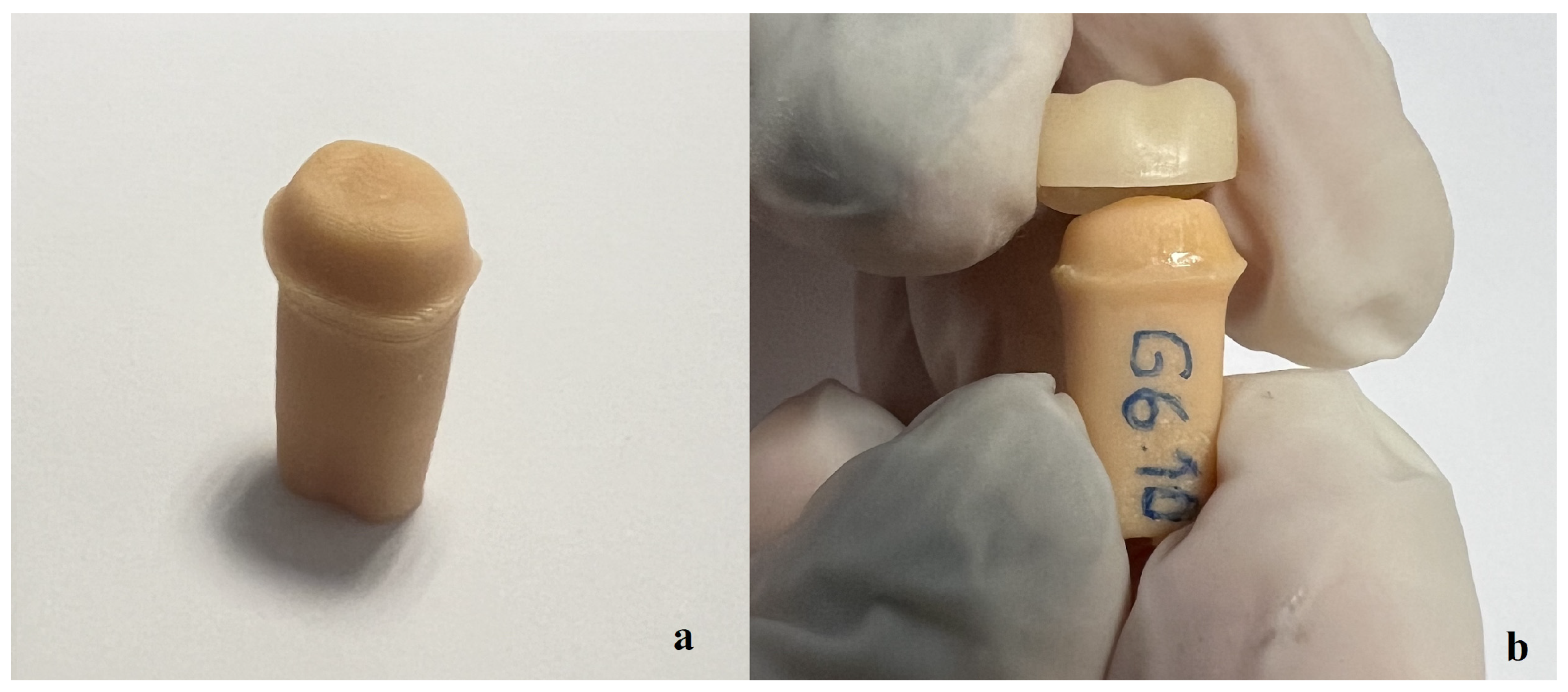 Medicina 60 01678 g001