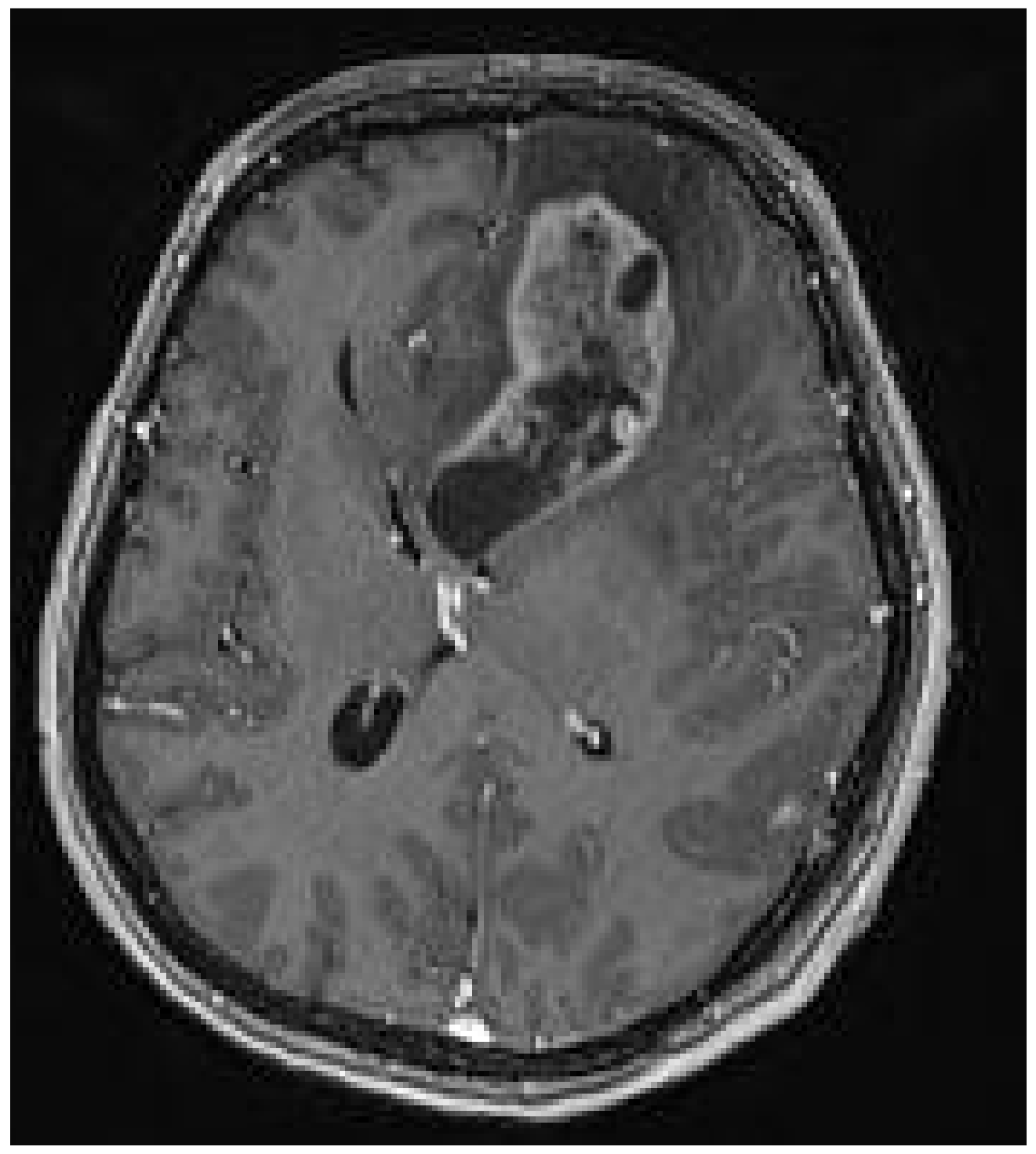 Medicina 60 01688 g001