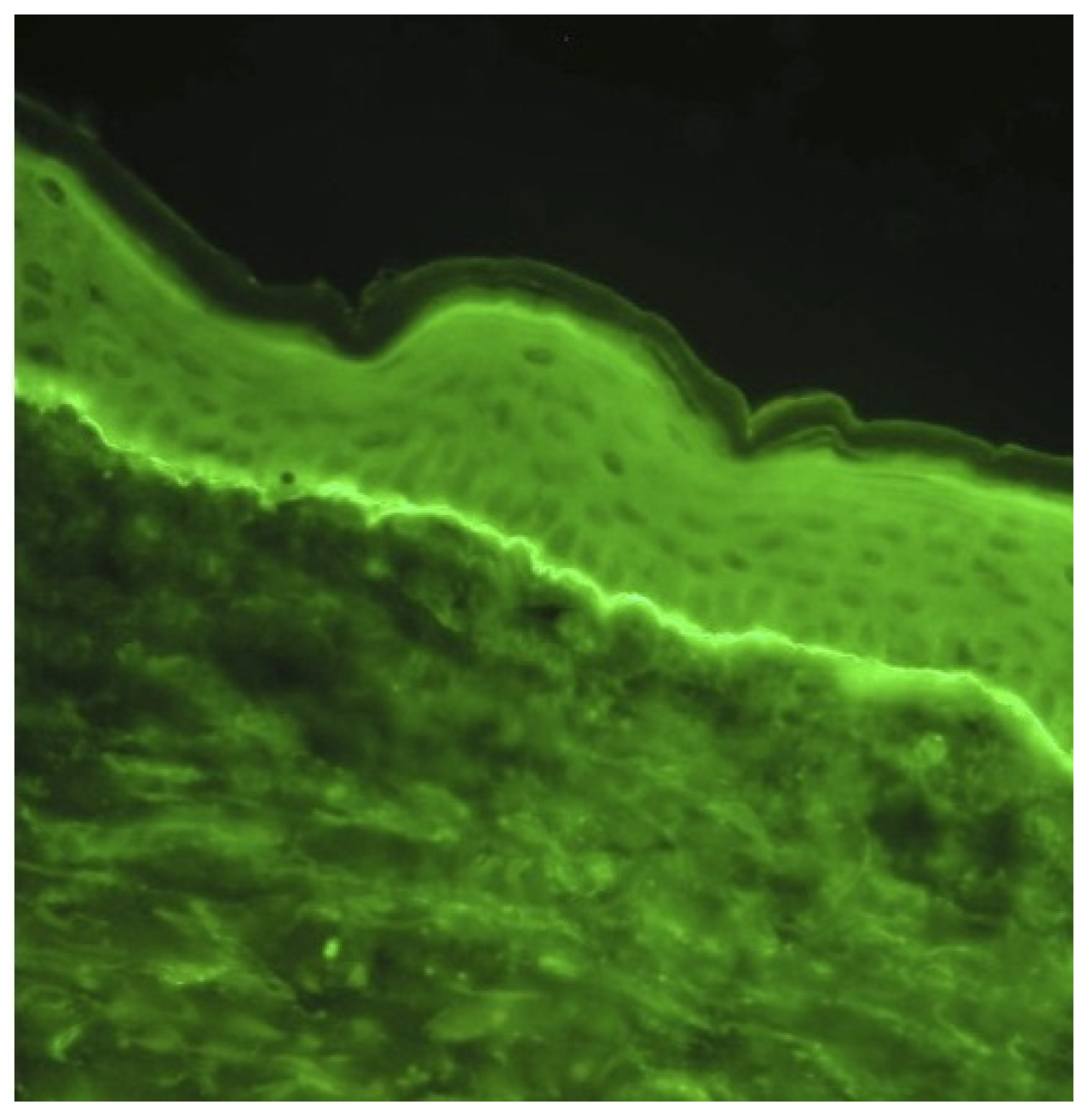 Medicina 60 01701 g002