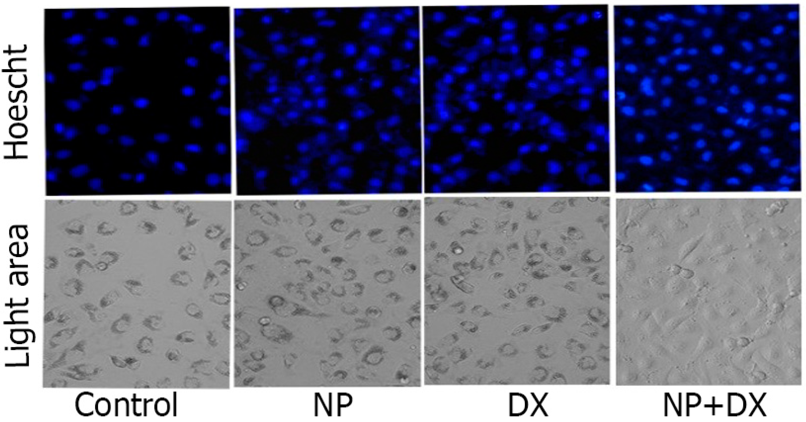 Medicina 60 01715 g005