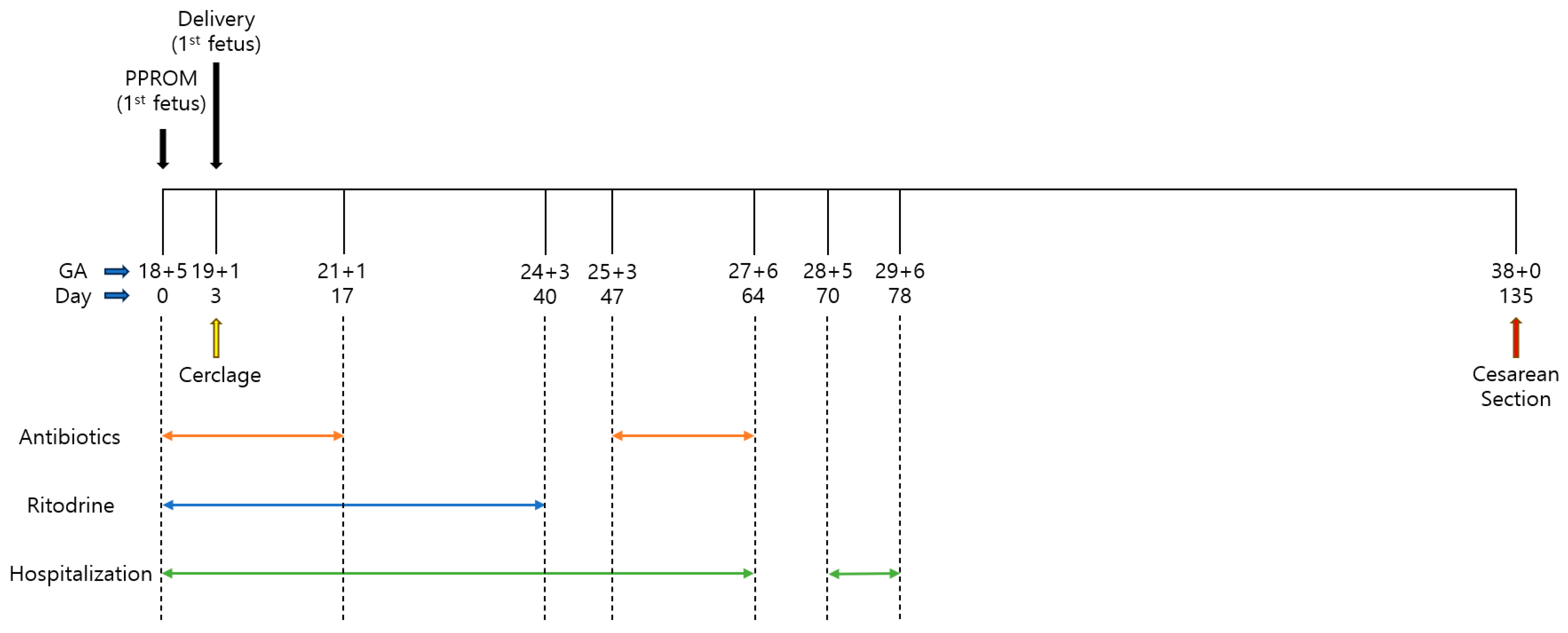 Medicina 60 01800 g002