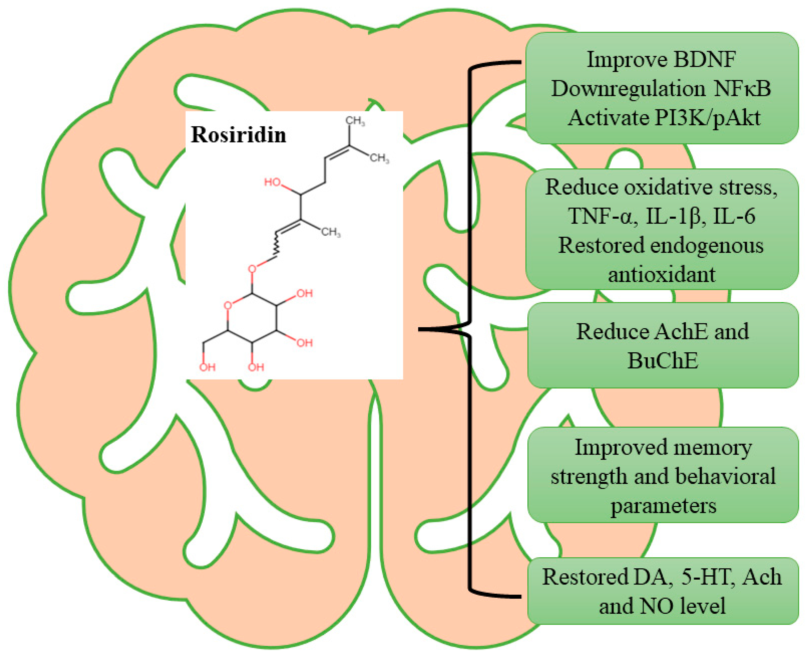 Medicina 60 01812 g011