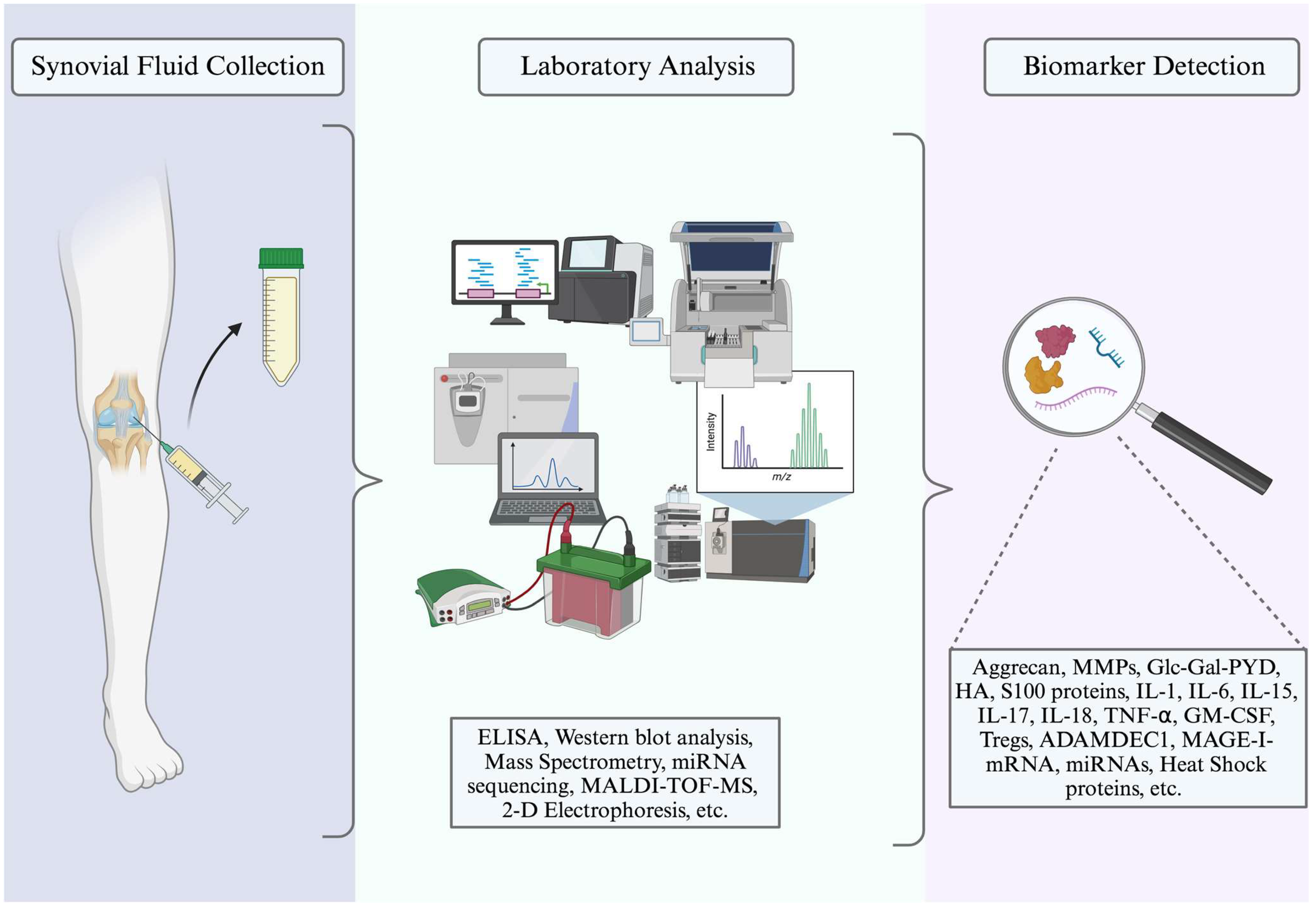 Medicina 60 01945 g001