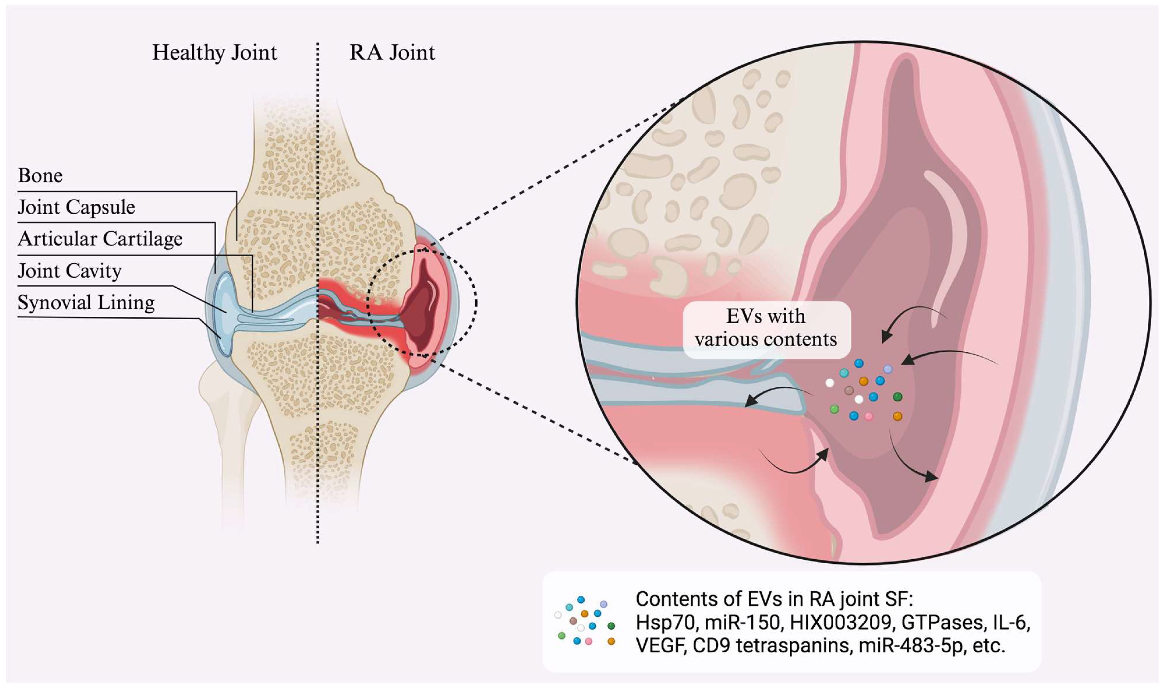 Medicina 60 01945 g002