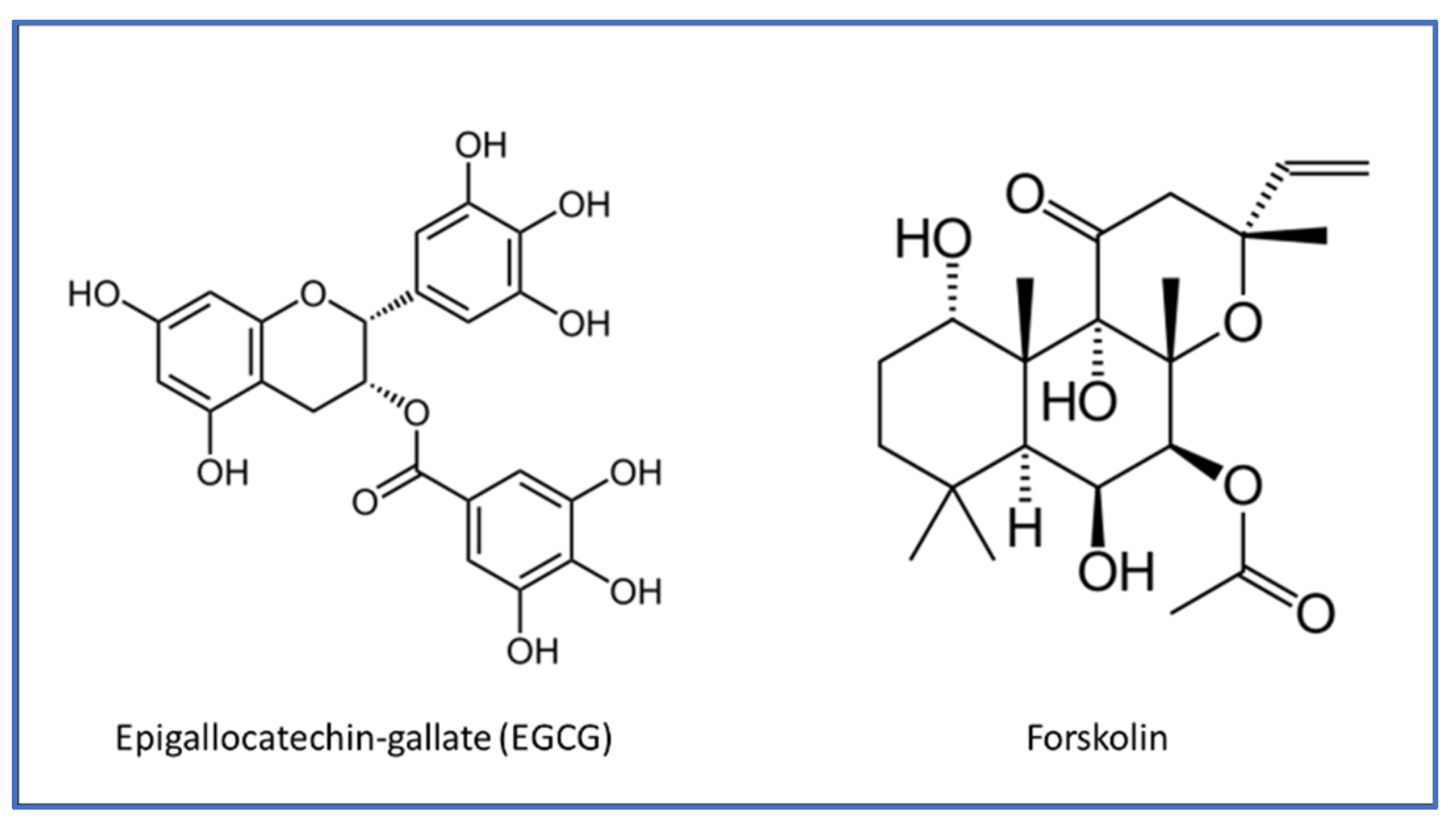 Medicina 60 01957 g002