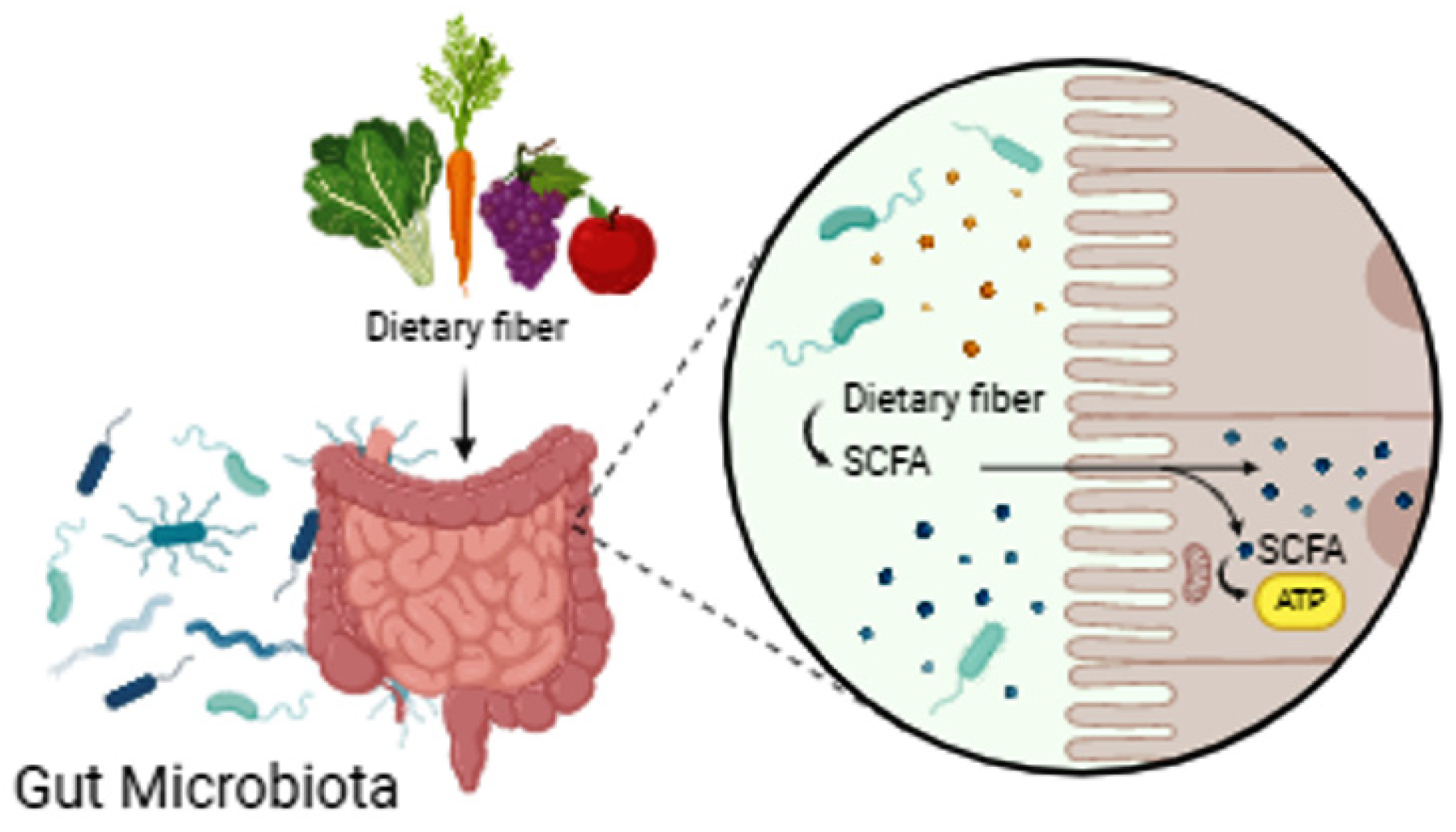 Medicina 60 01969 g002