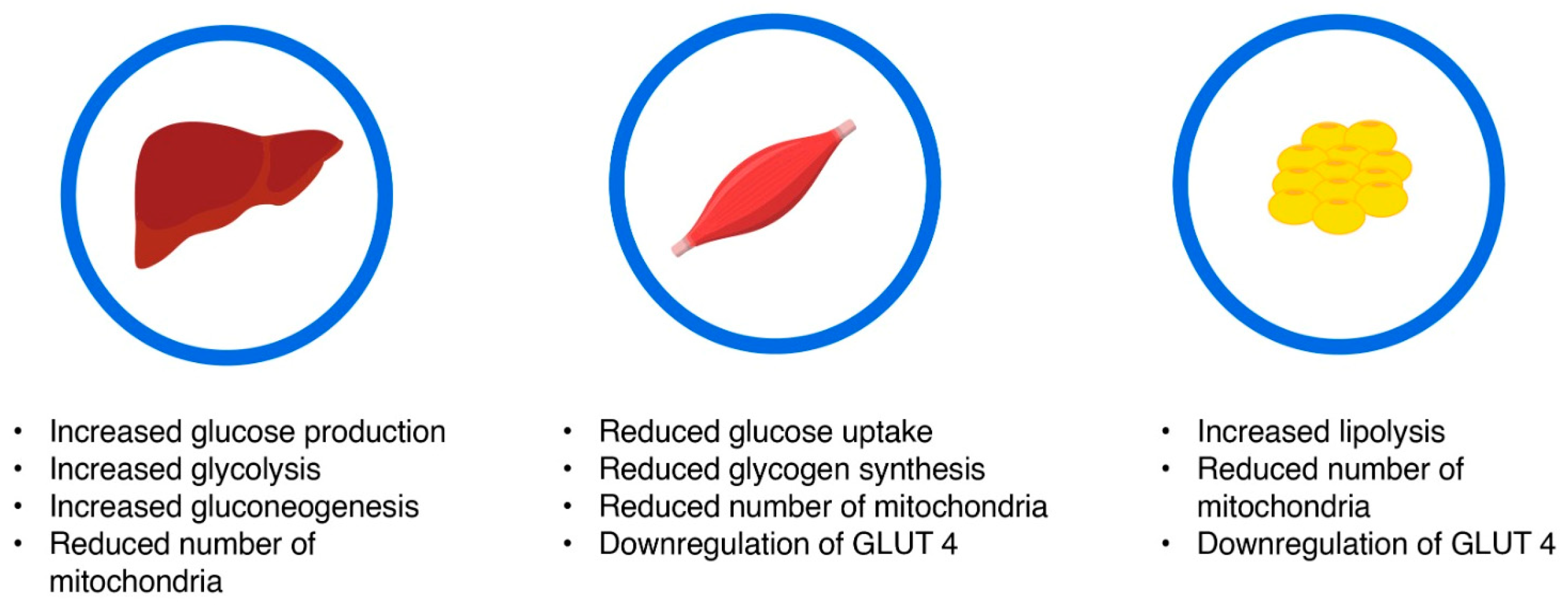 Medicina 60 02067 g001