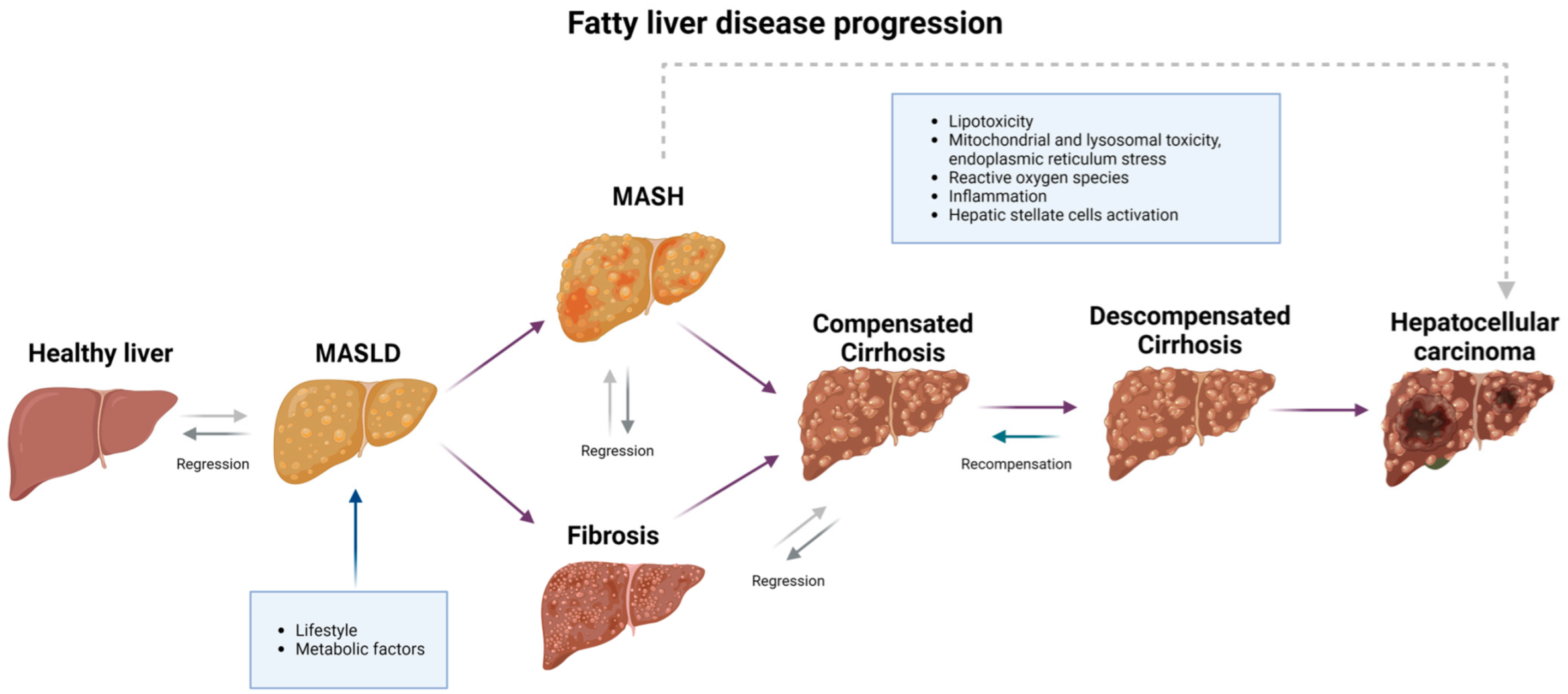 Medicina 61 00088 g001