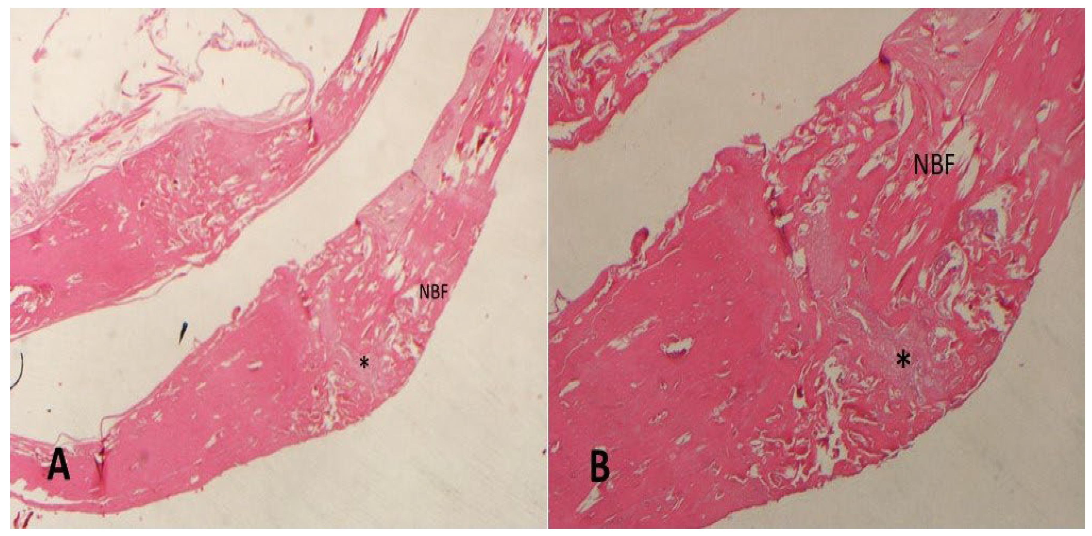 Medicina 61 00146 g001