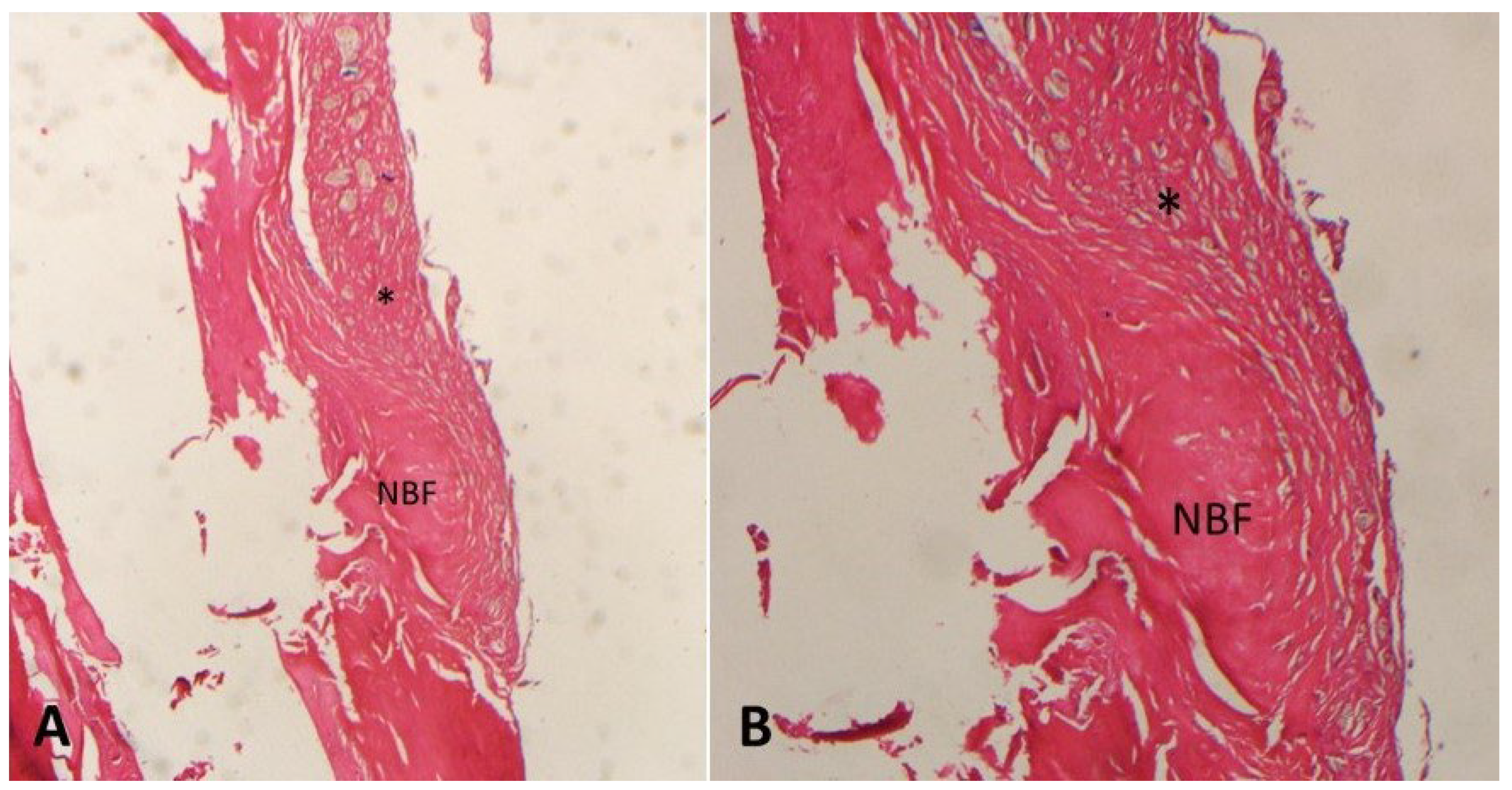 Medicina 61 00146 g002