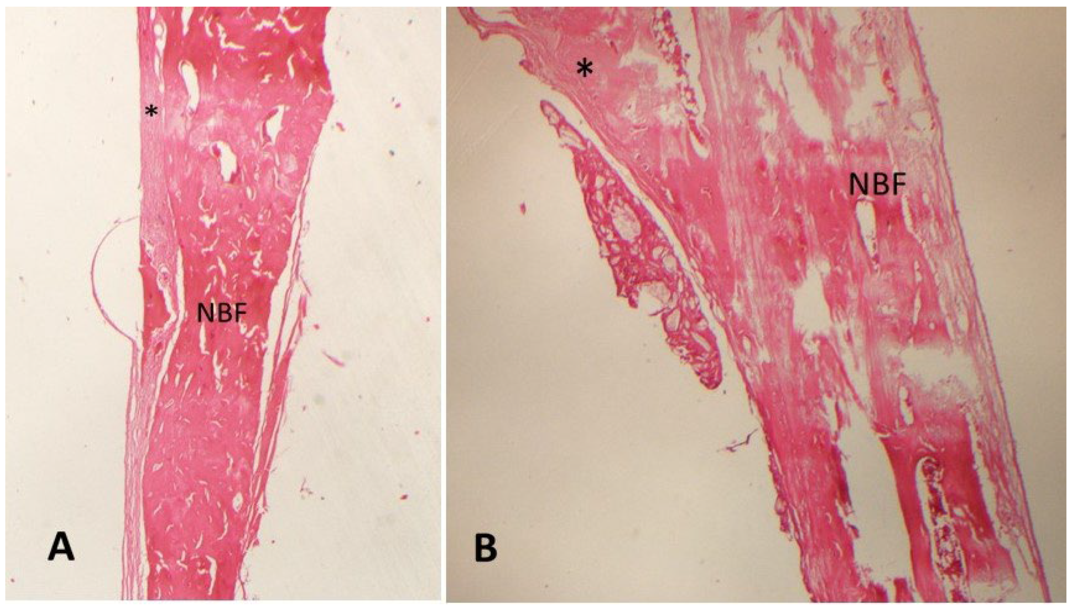 Medicina 61 00146 g003
