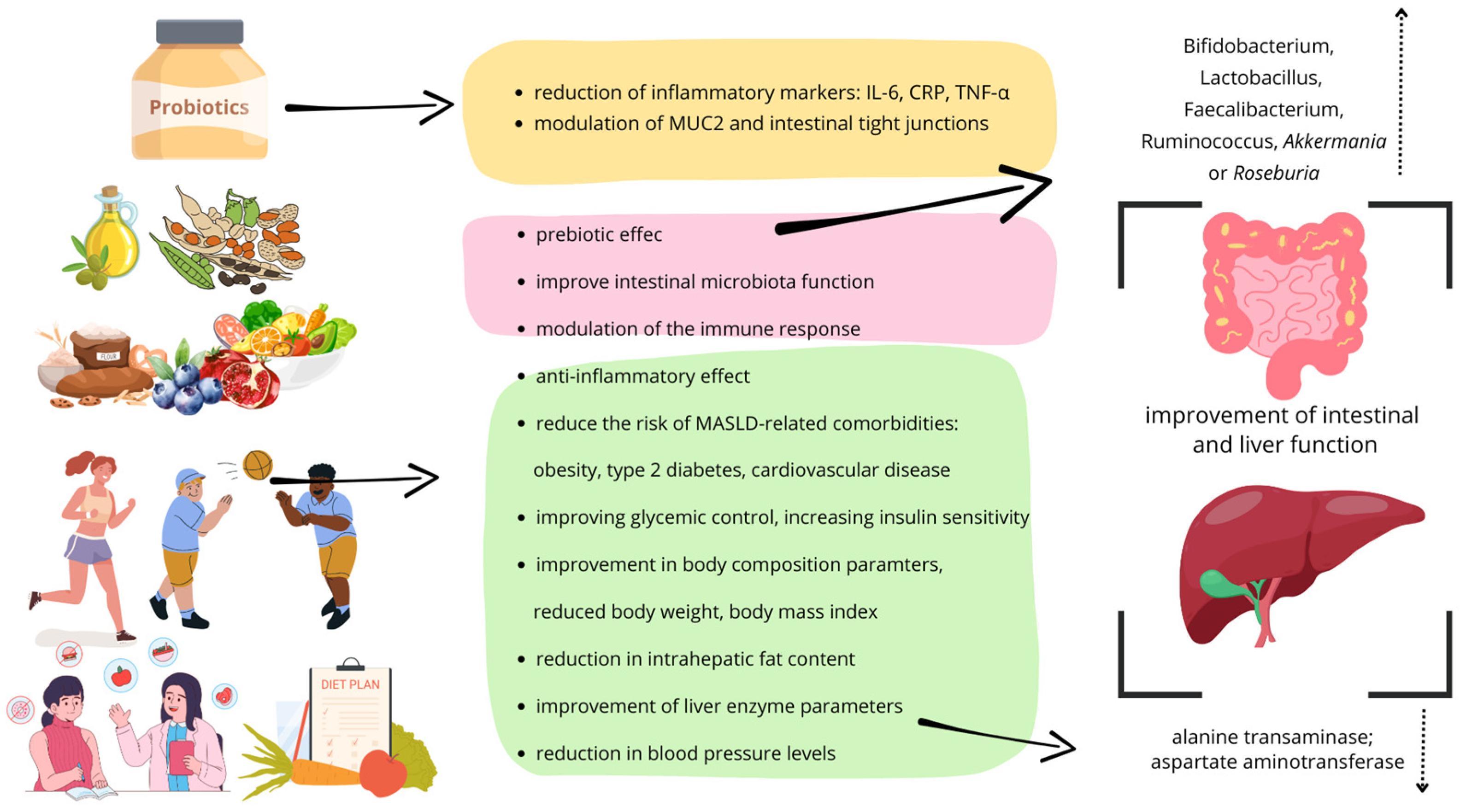 Medicina 61 00192 g002