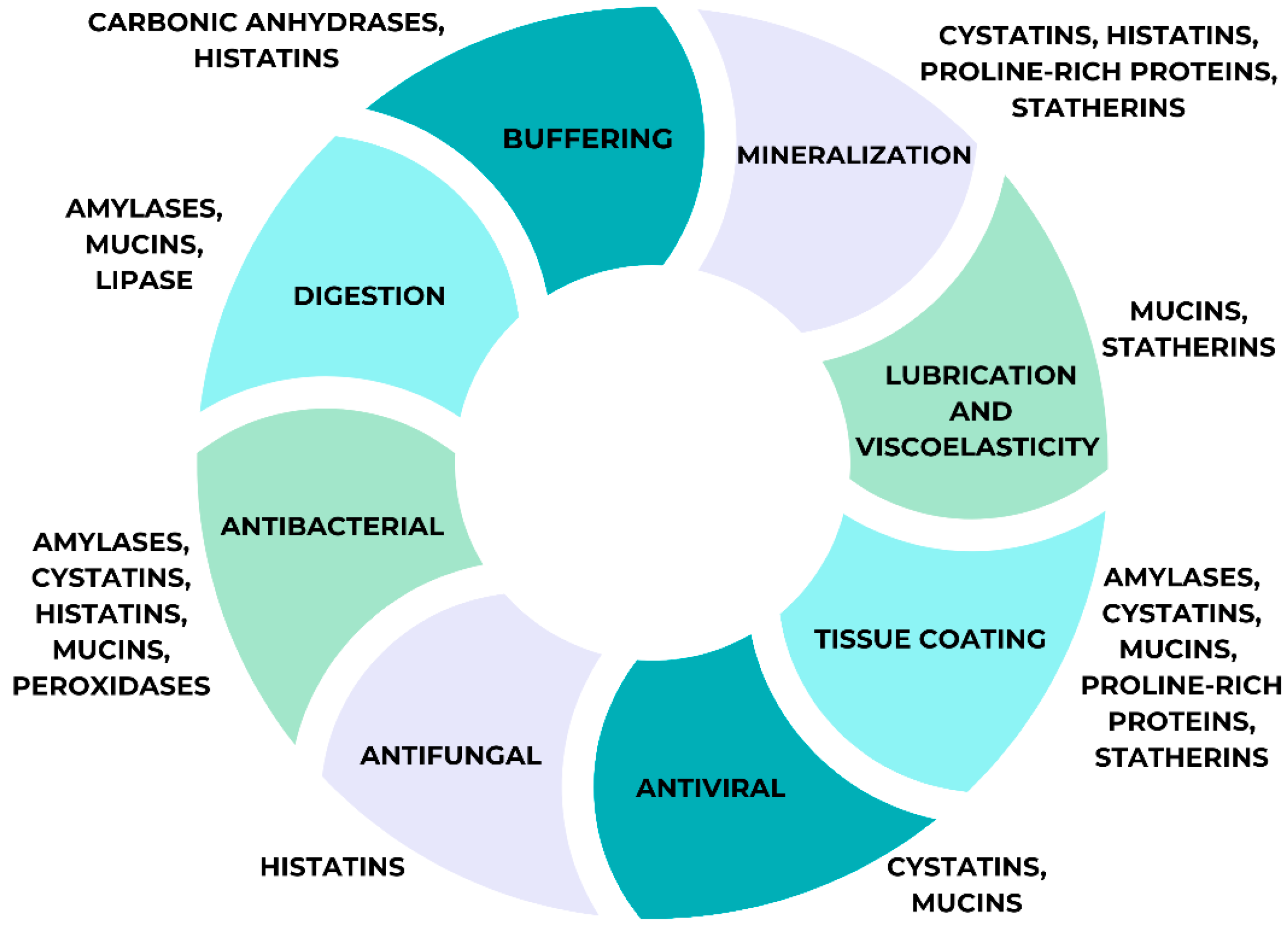 Medicina 61 00243 g001