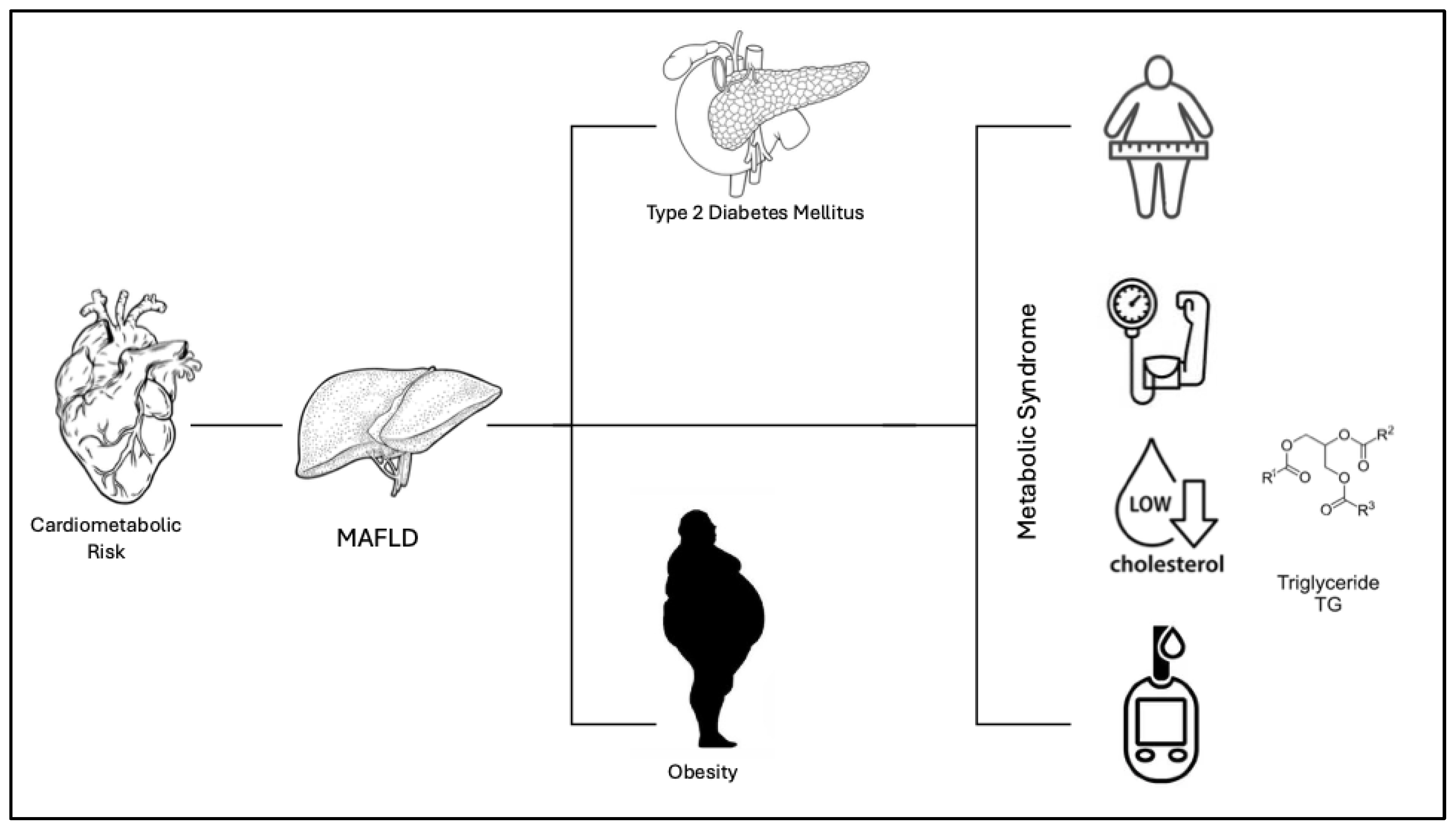 Medicina 61 00387 g001
