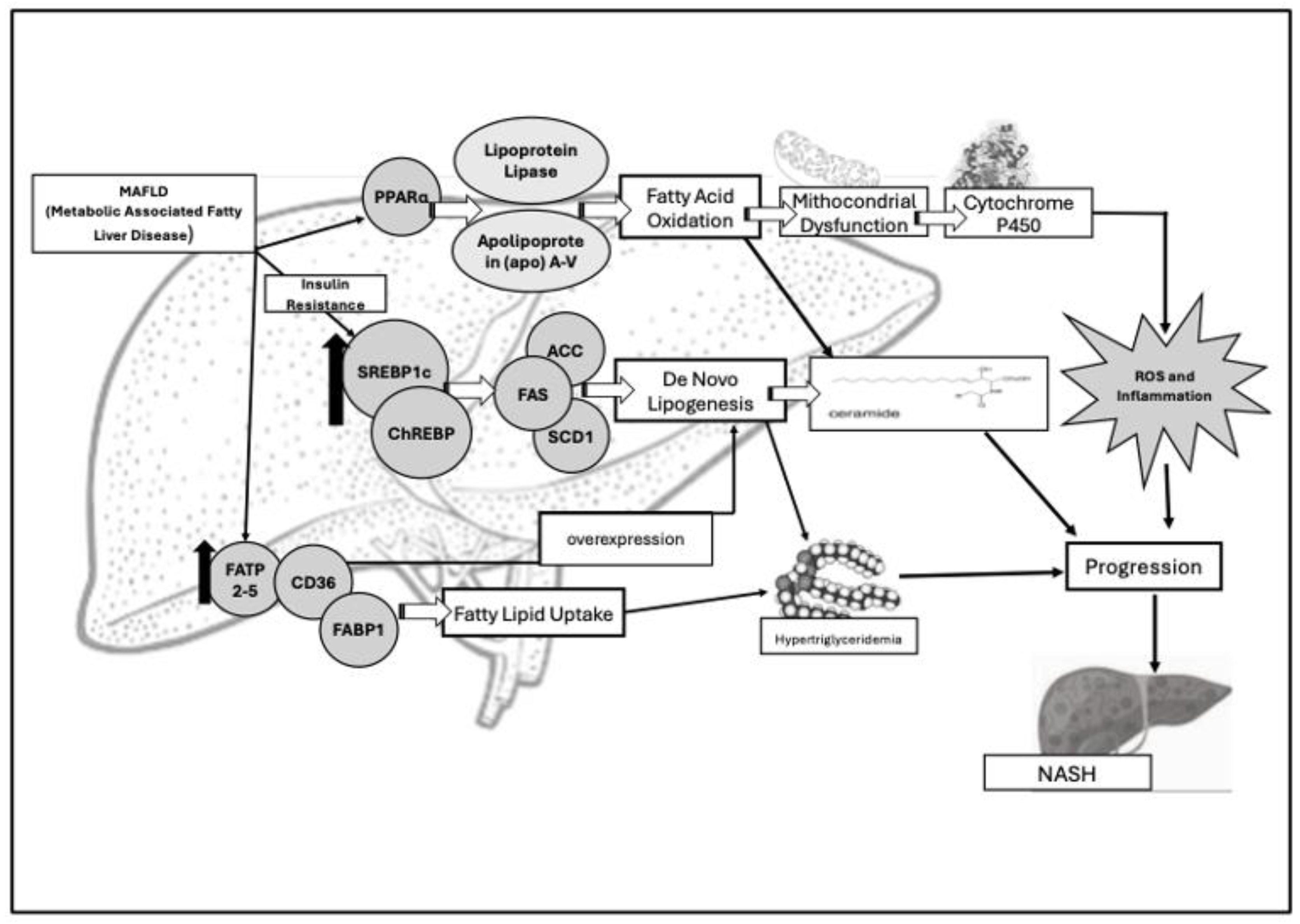 Medicina 61 00387 g002