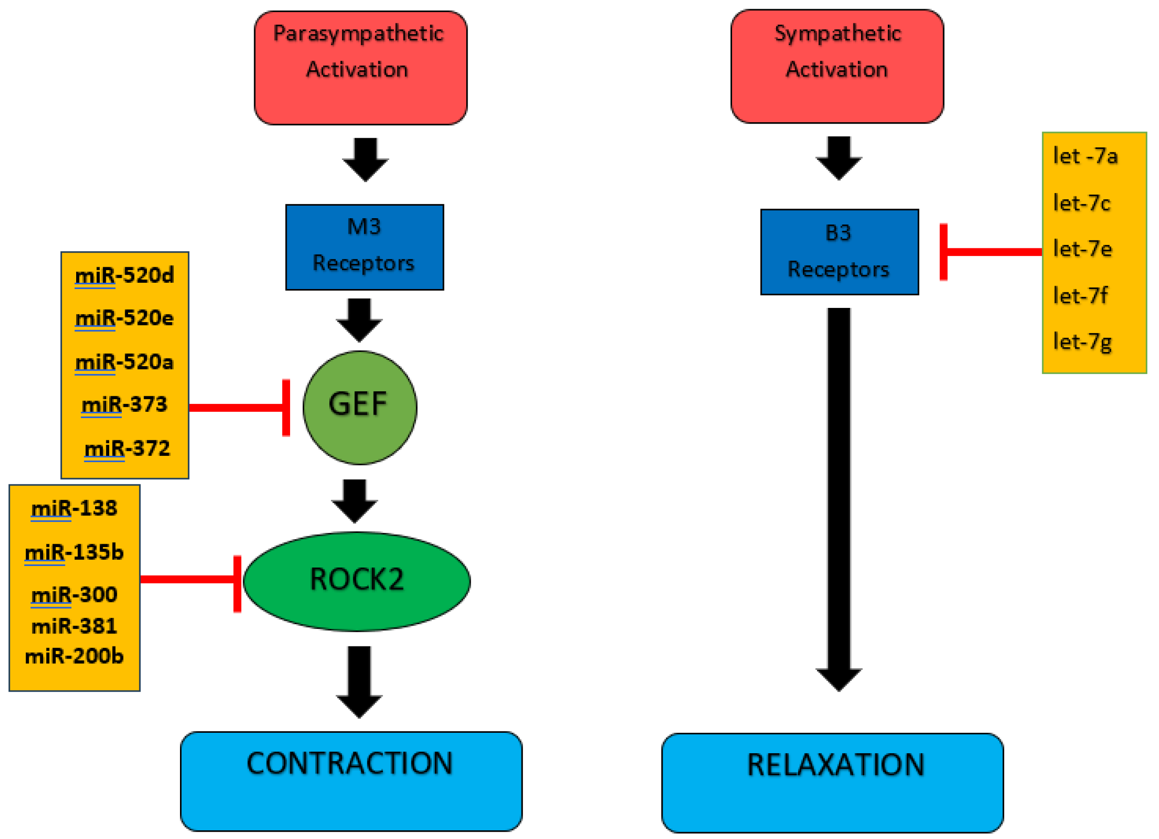 Medicina 61 00475 g001