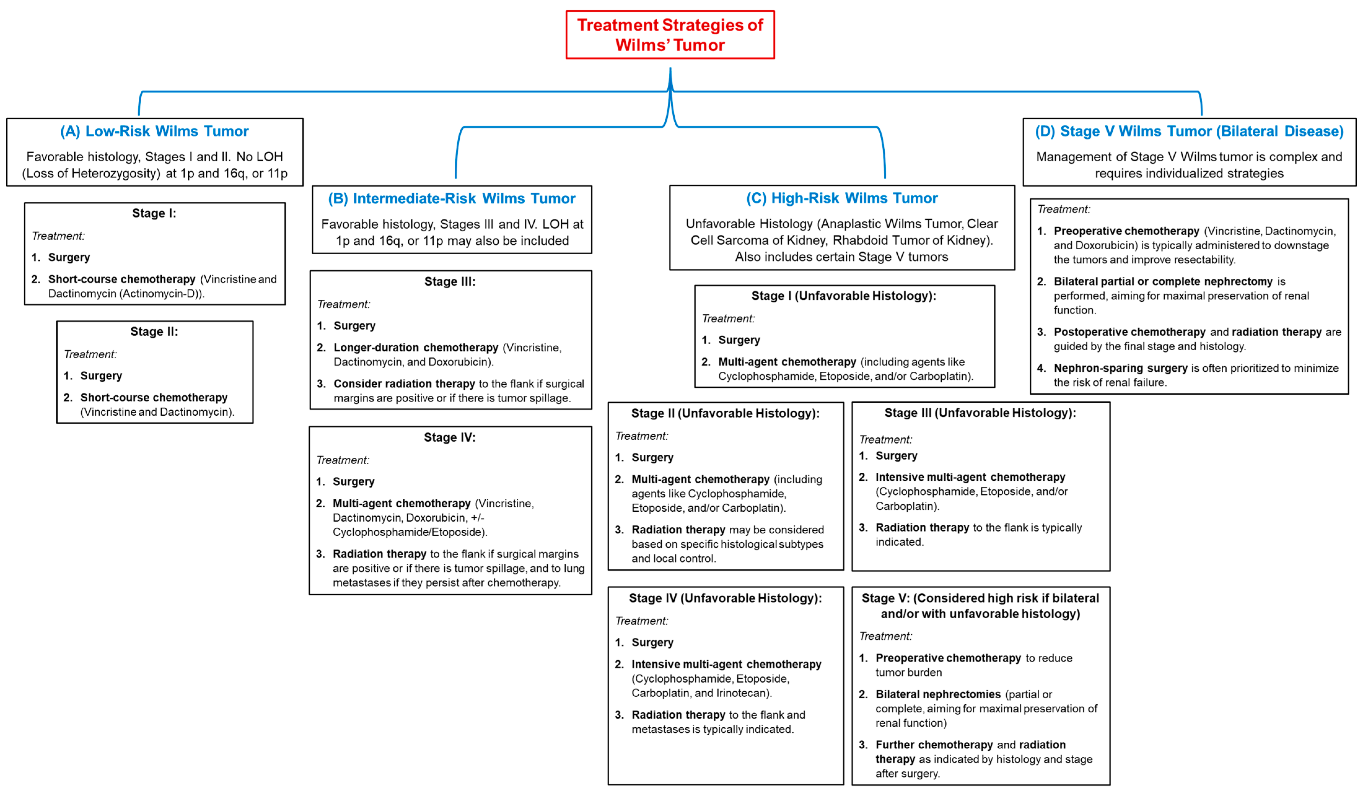 Medicina 61 00491 g001