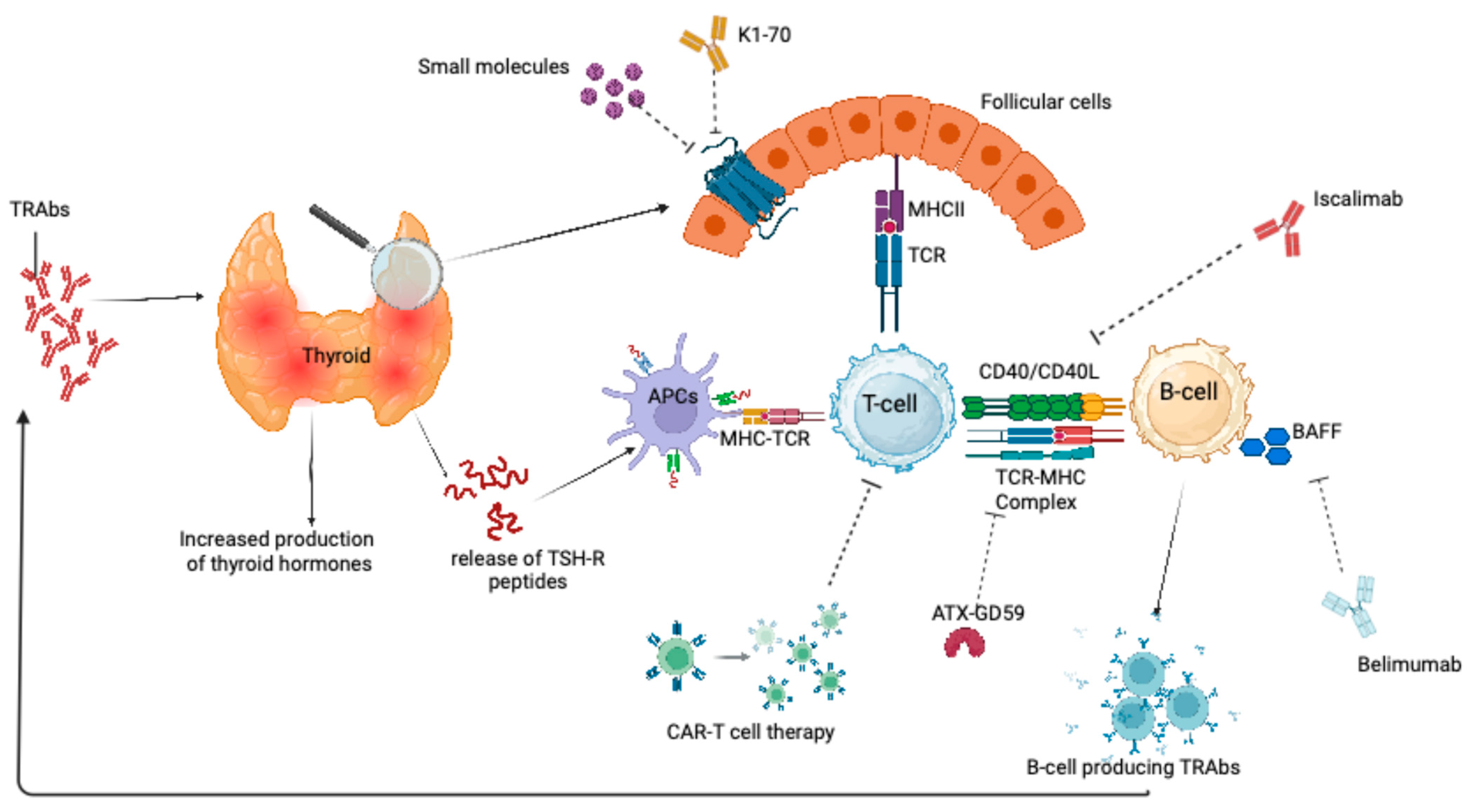 Medicina 61 00500 g001 Medicina 61 00500 g001