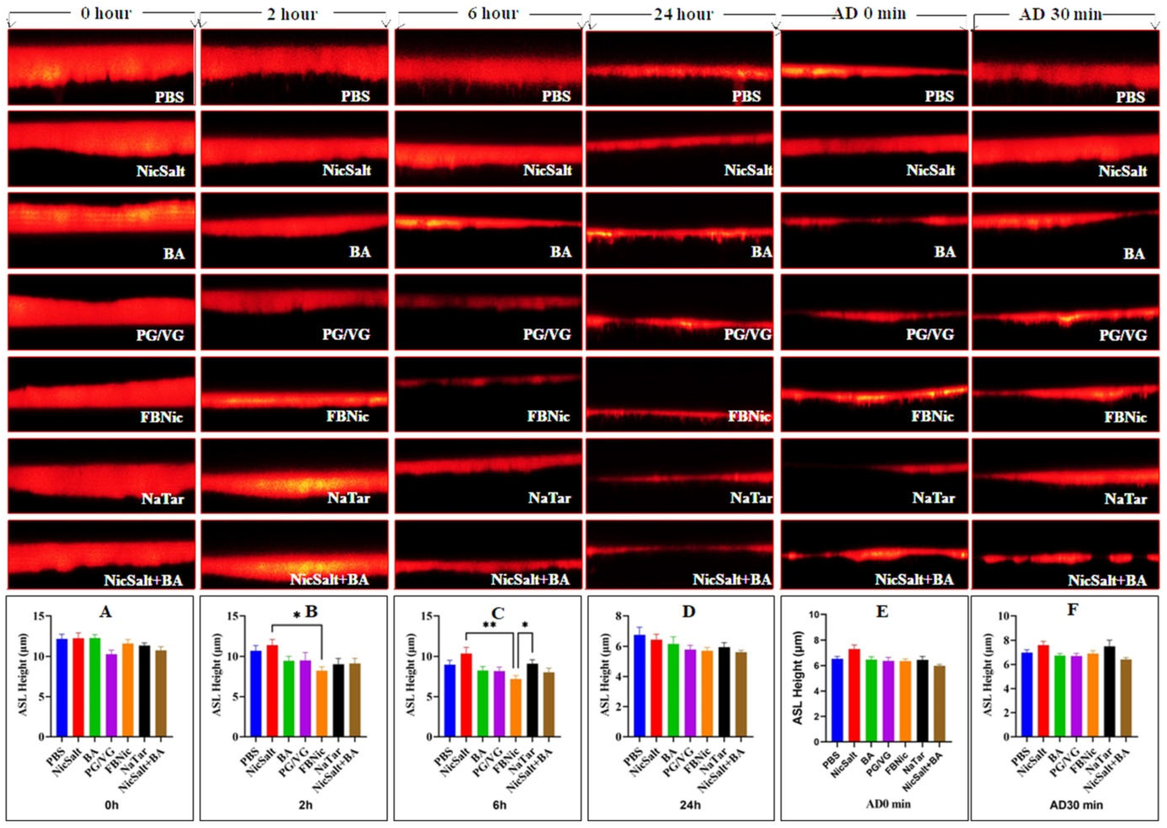 Medicina 61 00526 g001
