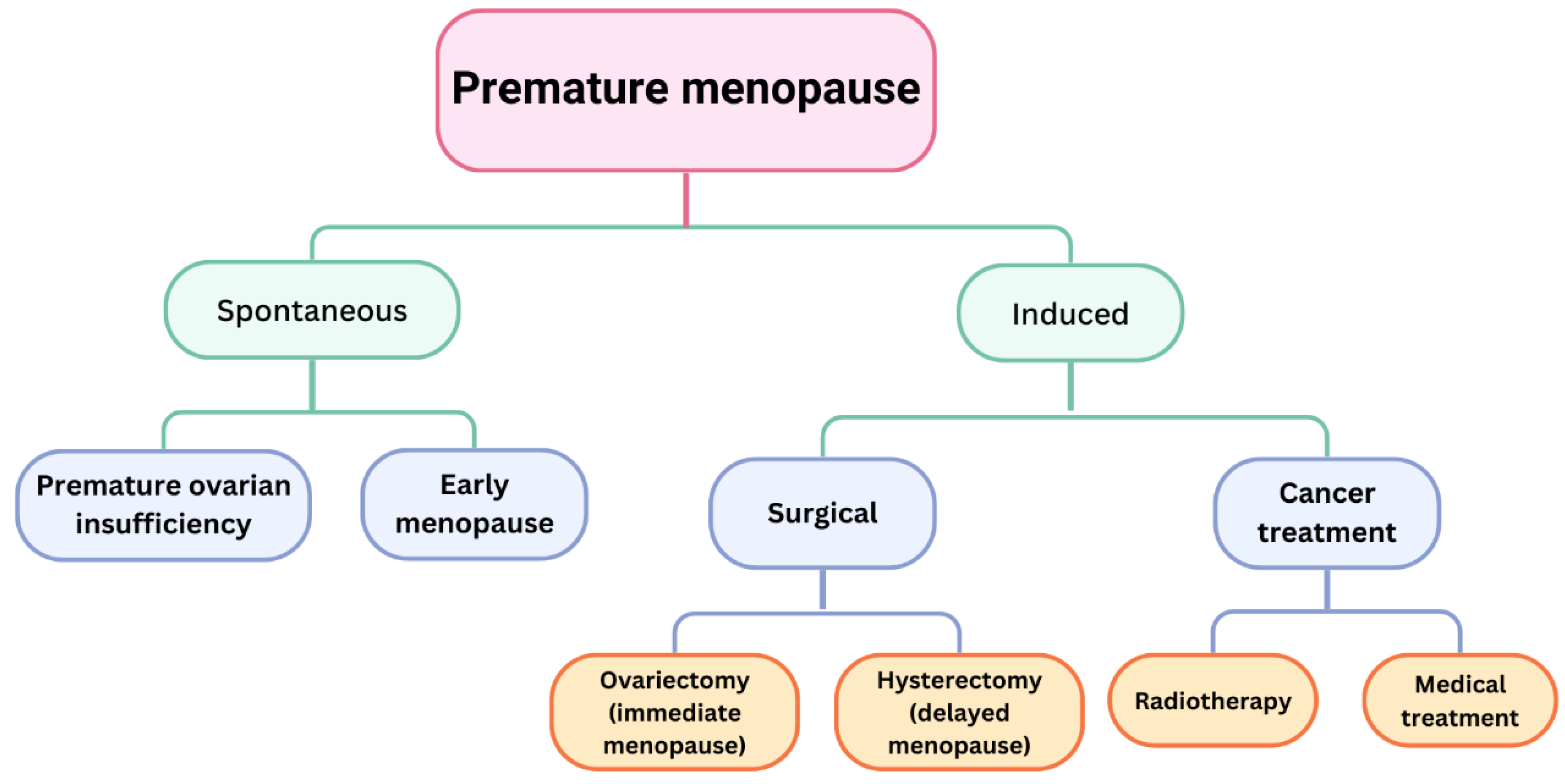 Medicina 61 00530 g002