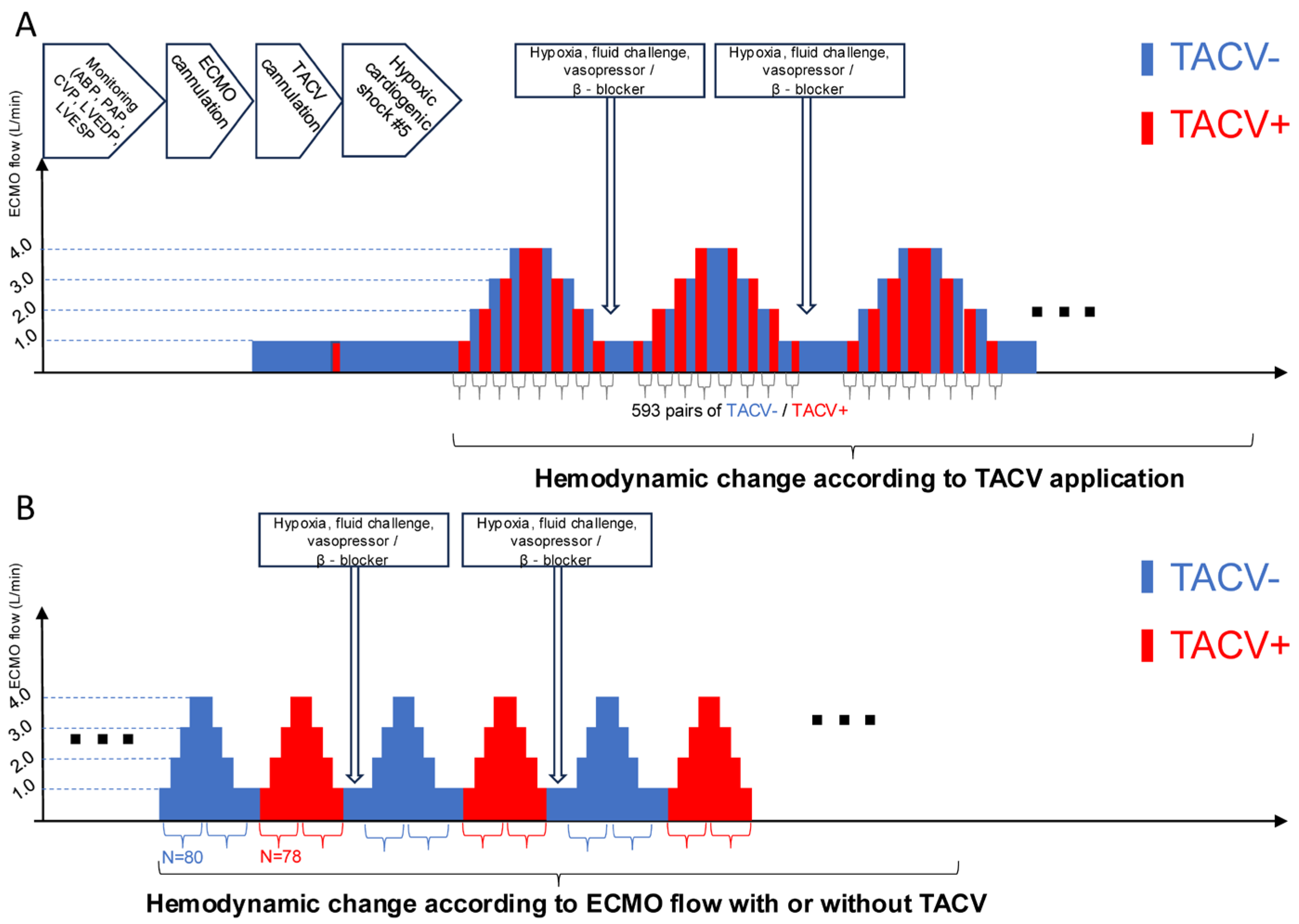 Medicina 61 00552 g002