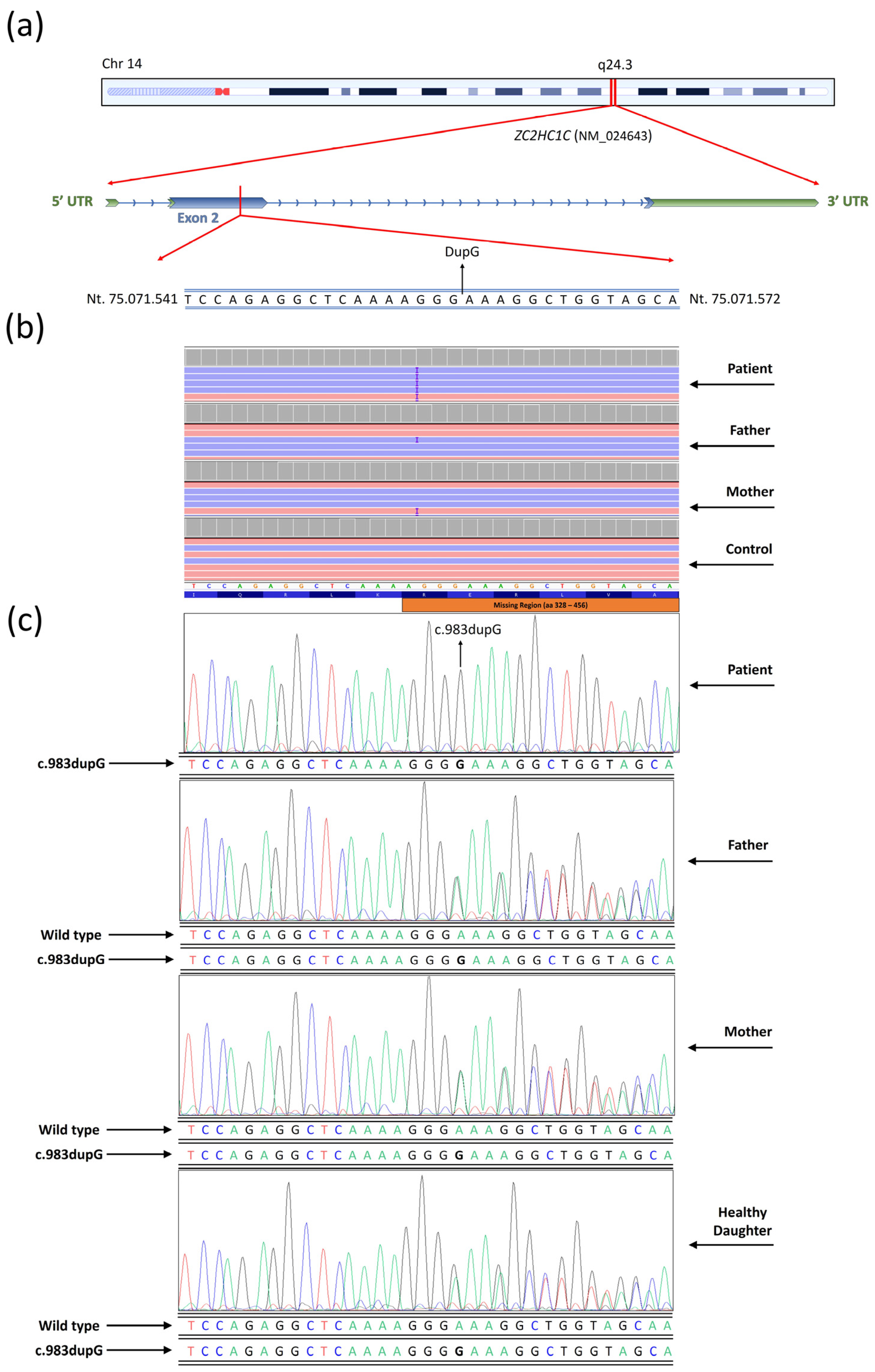 Medicina 61 00574 g001
