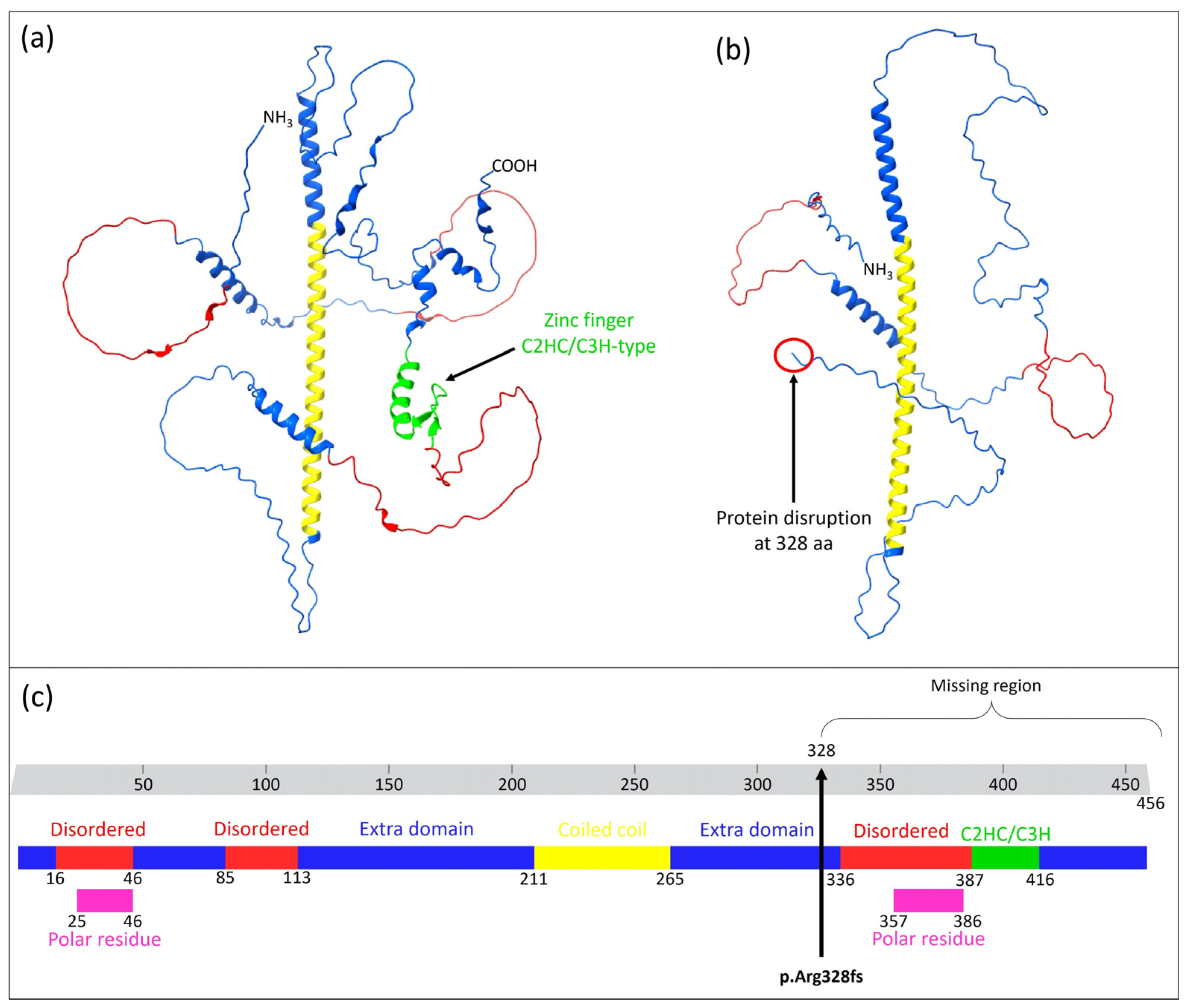 Medicina 61 00574 g002