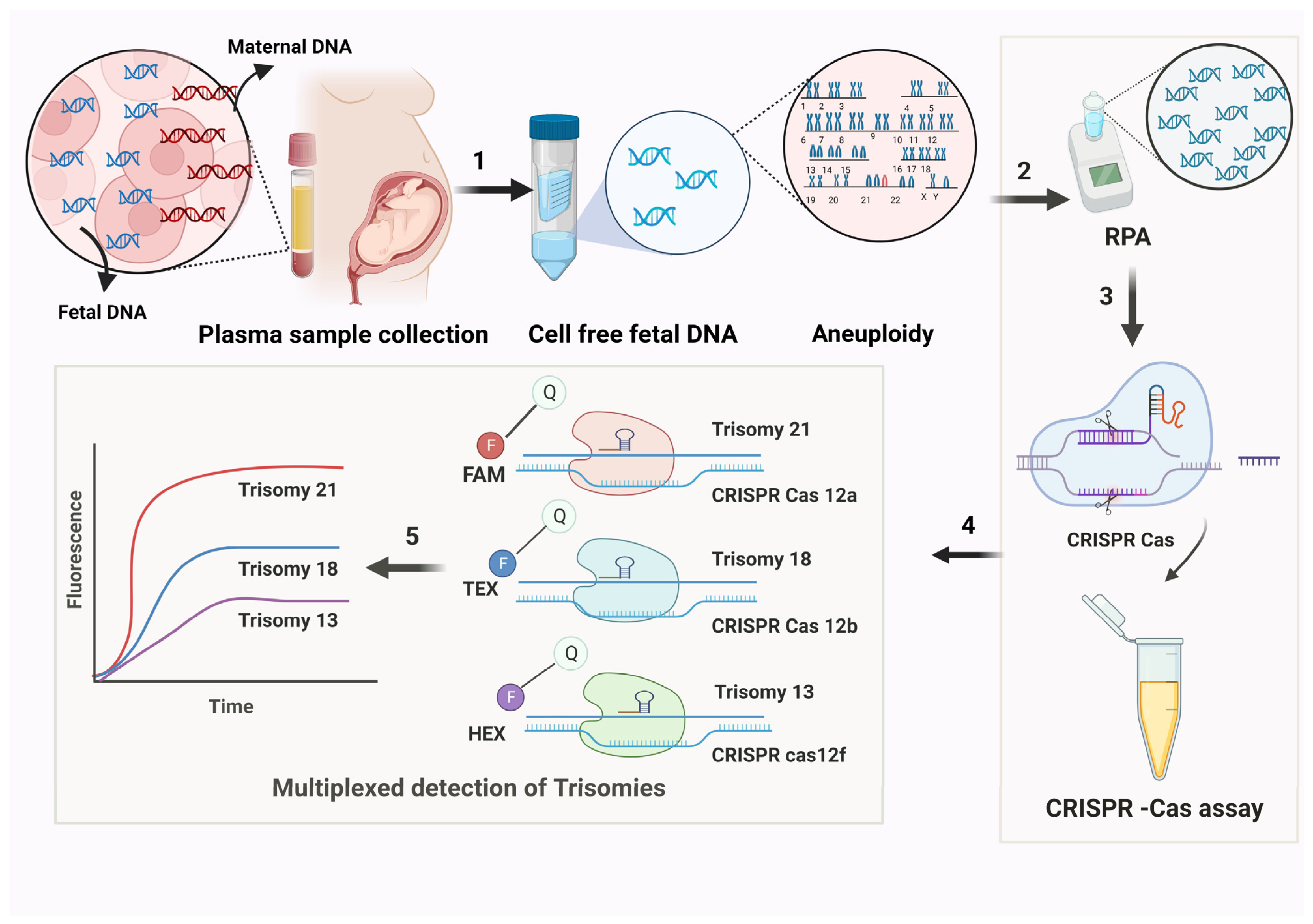 Medicina 61 00610 g002 Medicina 61 00610 g002