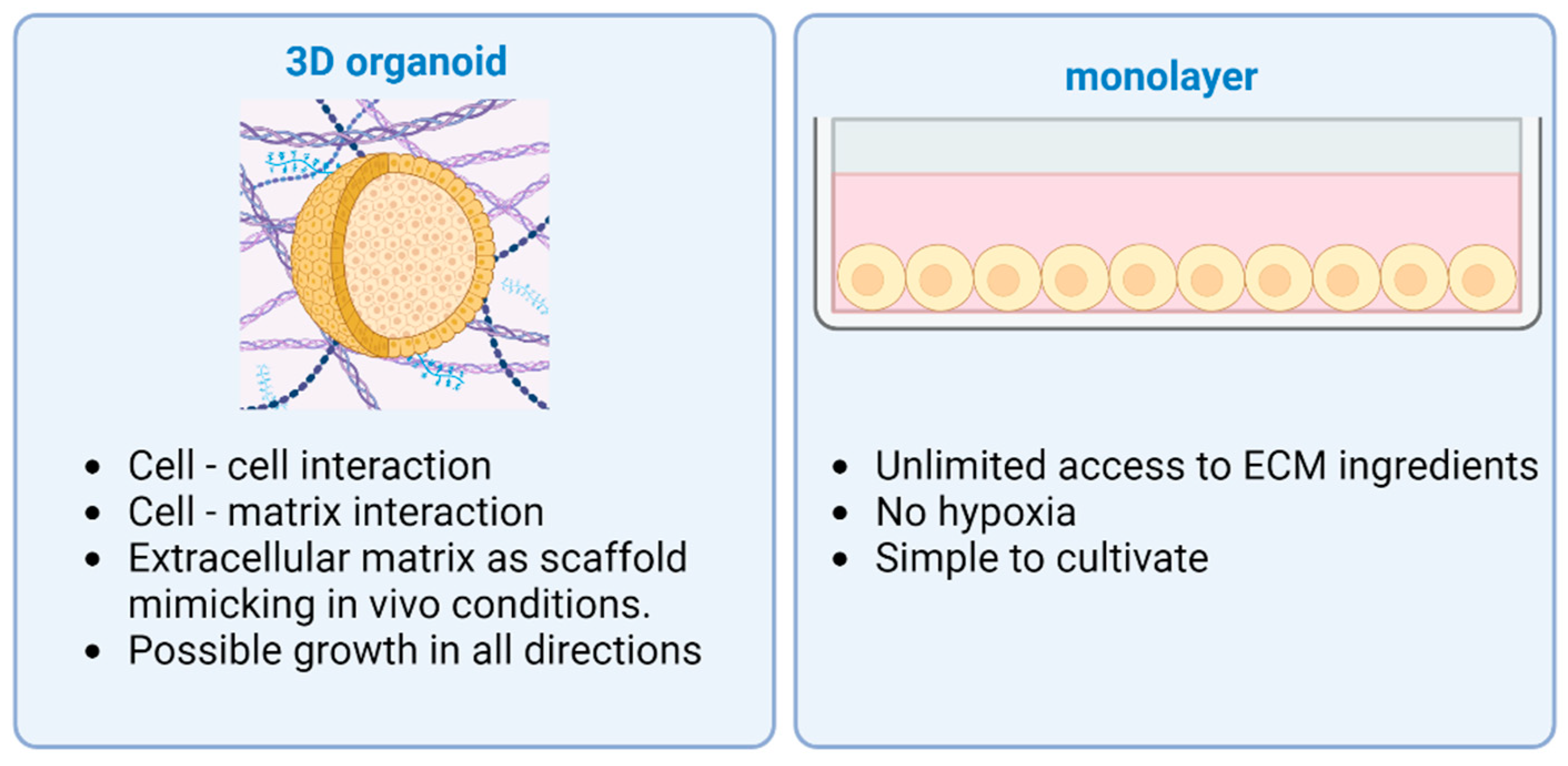 Medicina 61 00623 g001