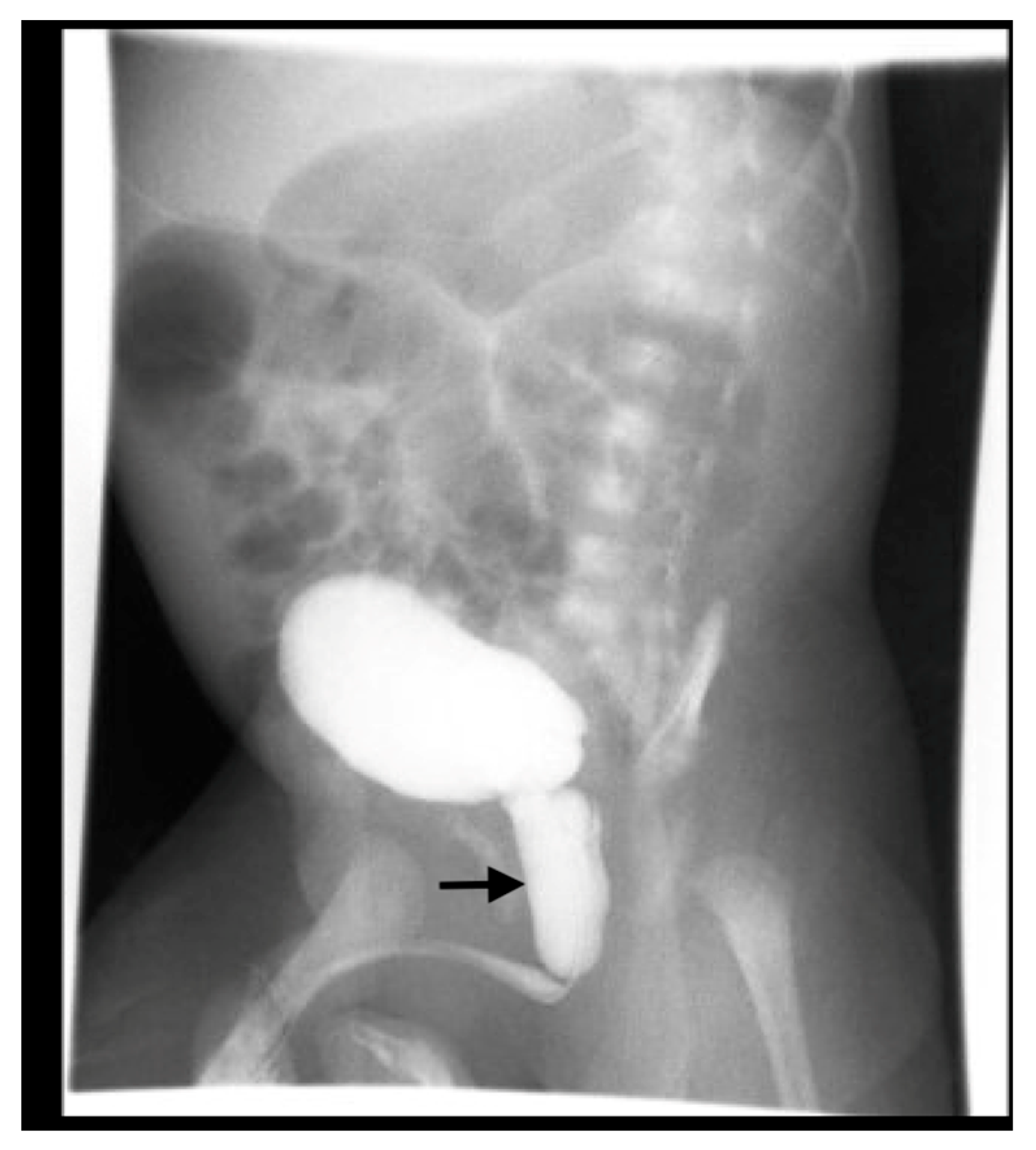 Medicina 61 00696 g012