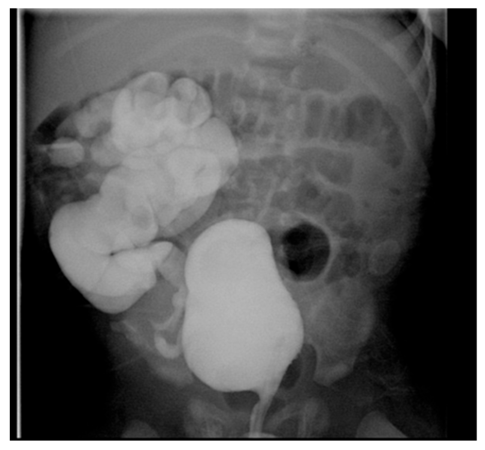 Medicina 61 00696 g013