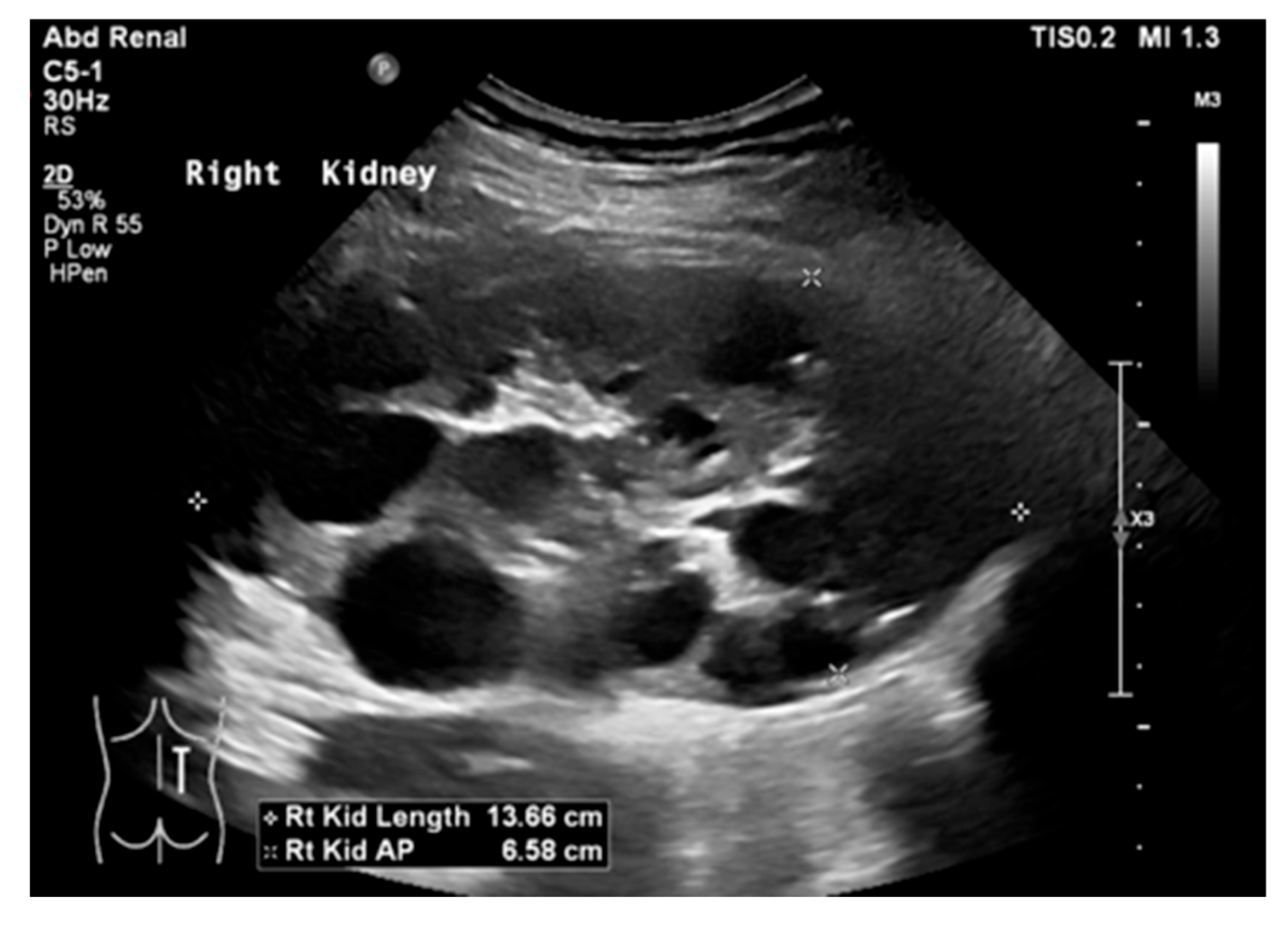 Medicina 61 00696 g019