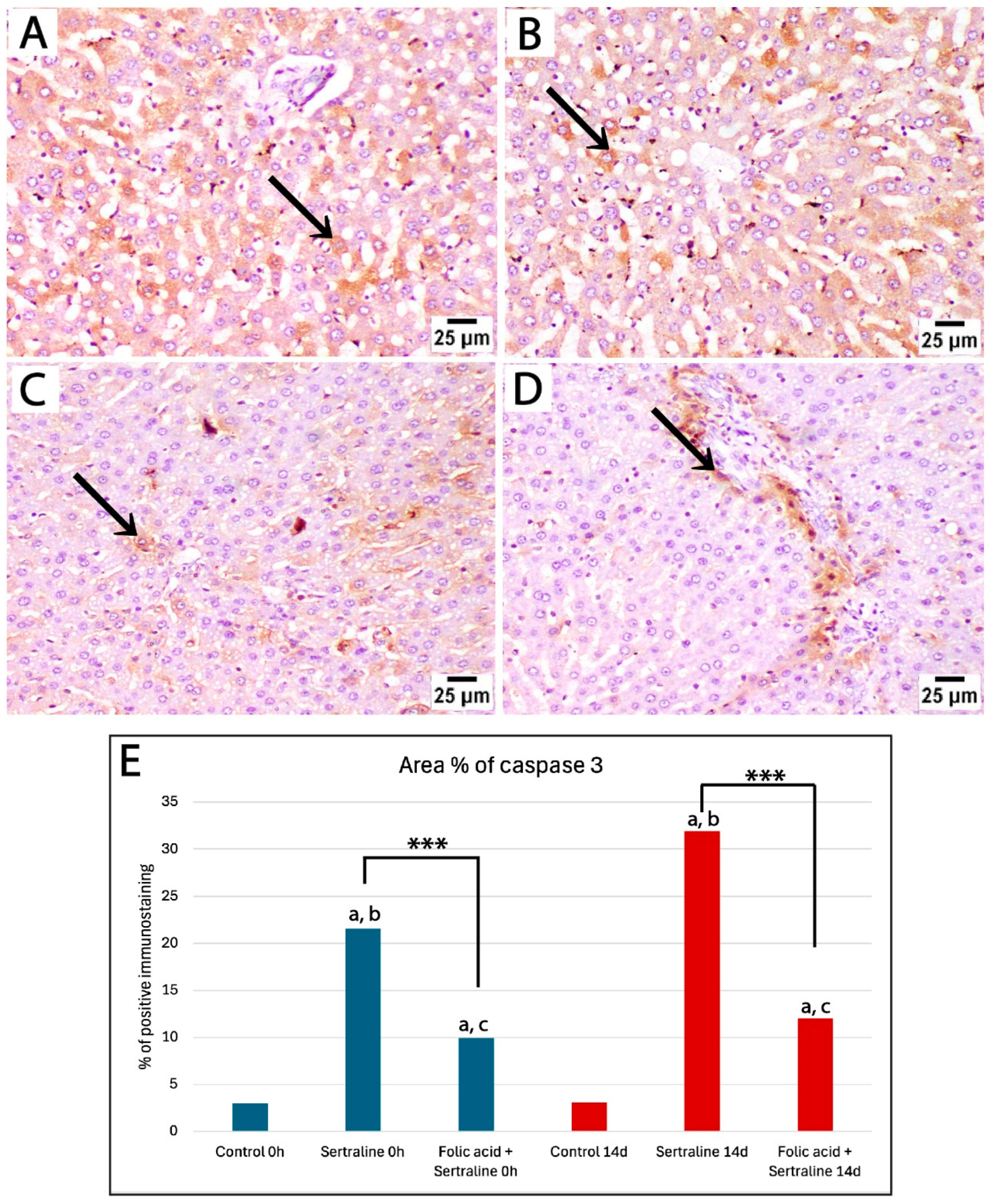 Medicina 61 00751 g006