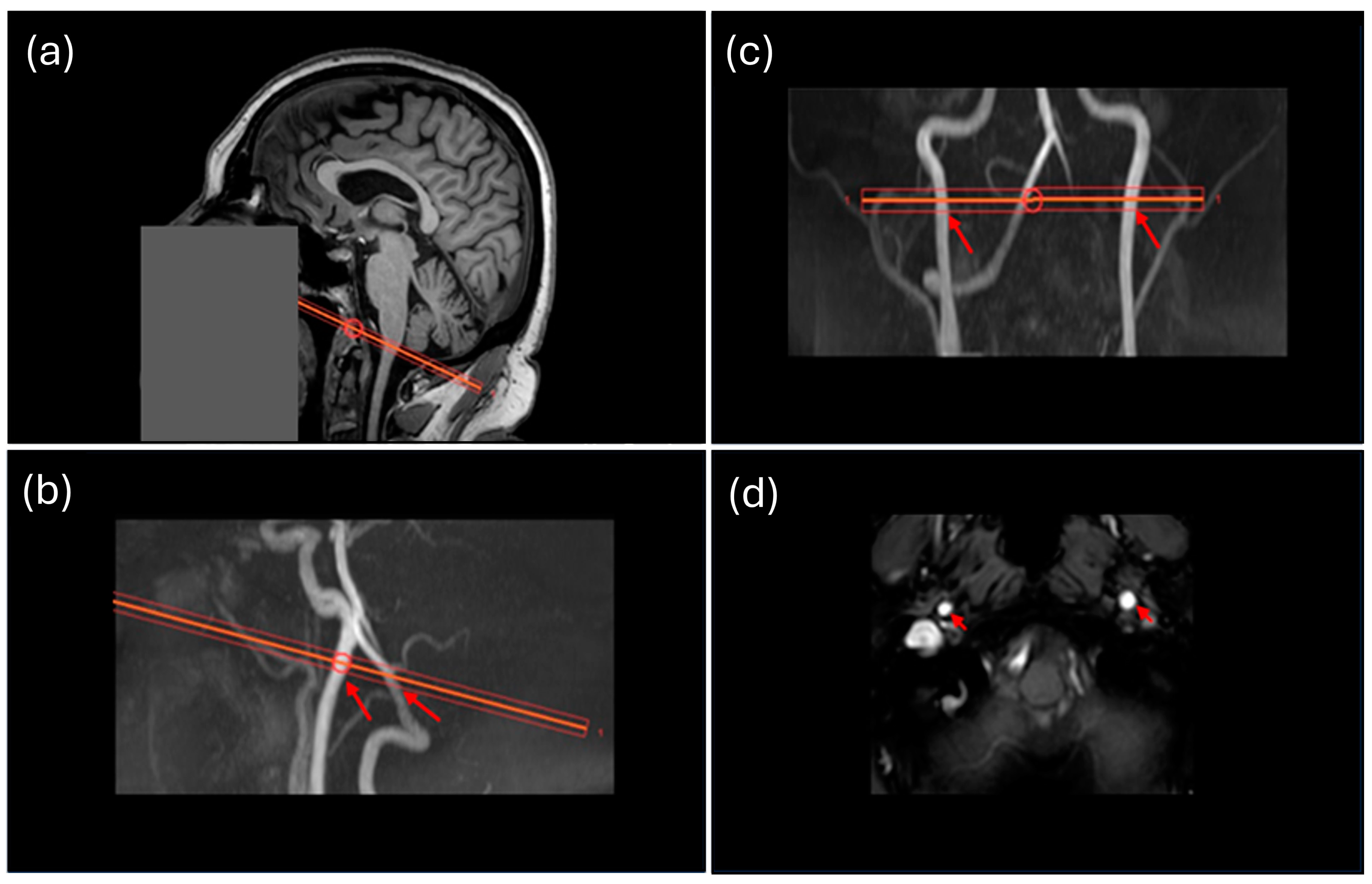 Medicina 61 00848 g002
