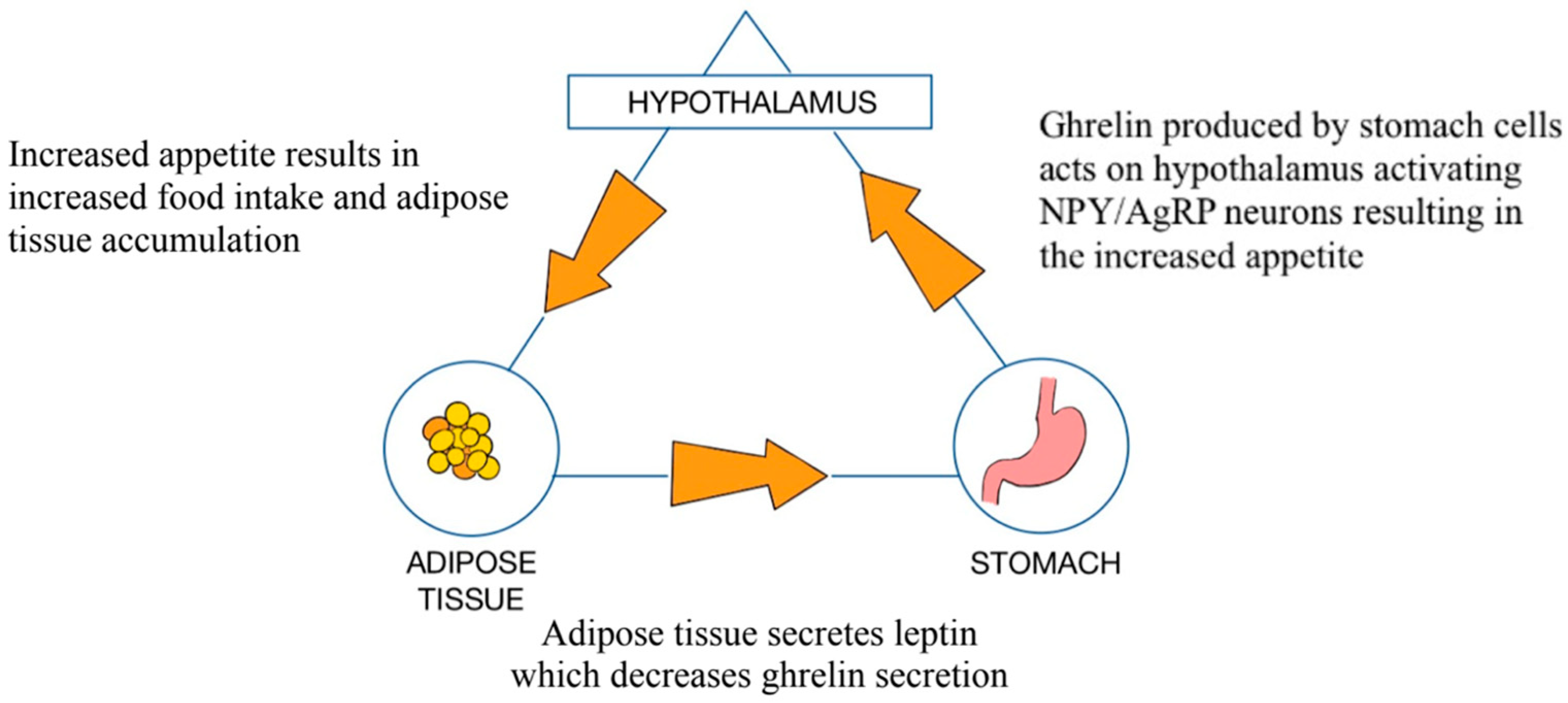 Medicina 61 00849 g004