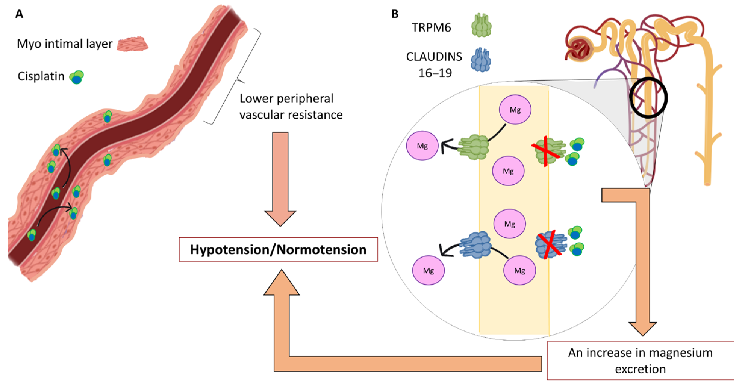 Medicina 61 01357 g002