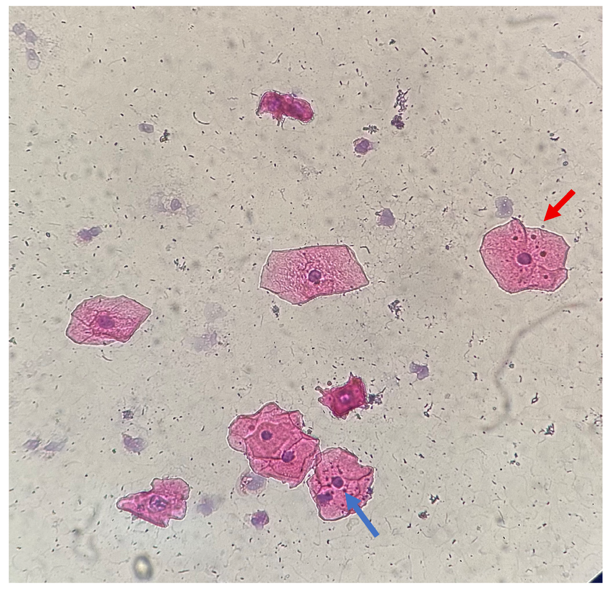 Medicina 61 01363 g003