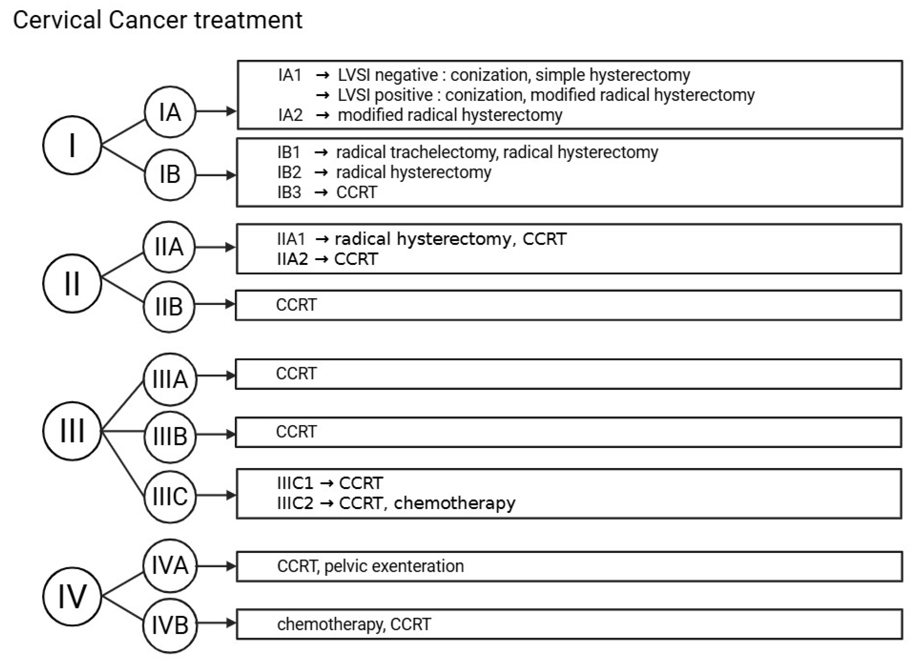 Medicina 61 01381 g002 Medicina 61 01381 g002