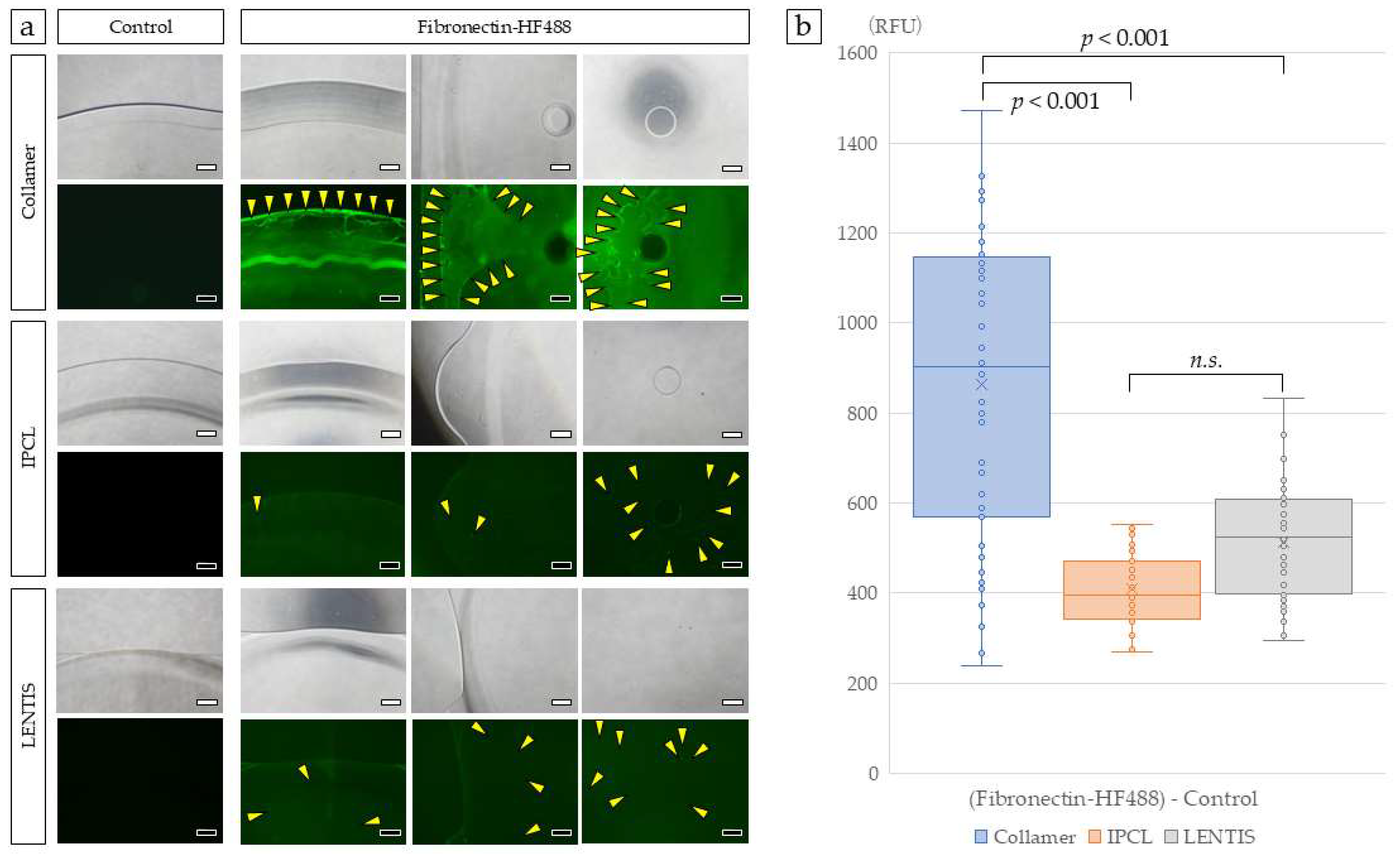 Medicina 61 01384 g002 Medicina 61 01384 g002