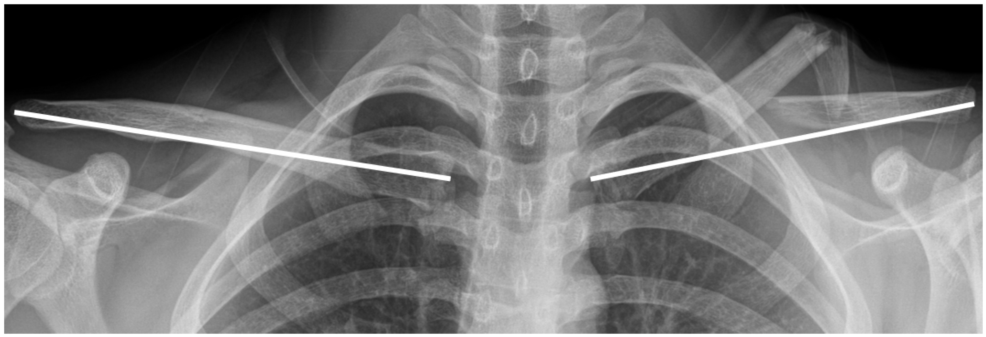 Medicina 61 01494 g001 Medicina 61 01494 g001