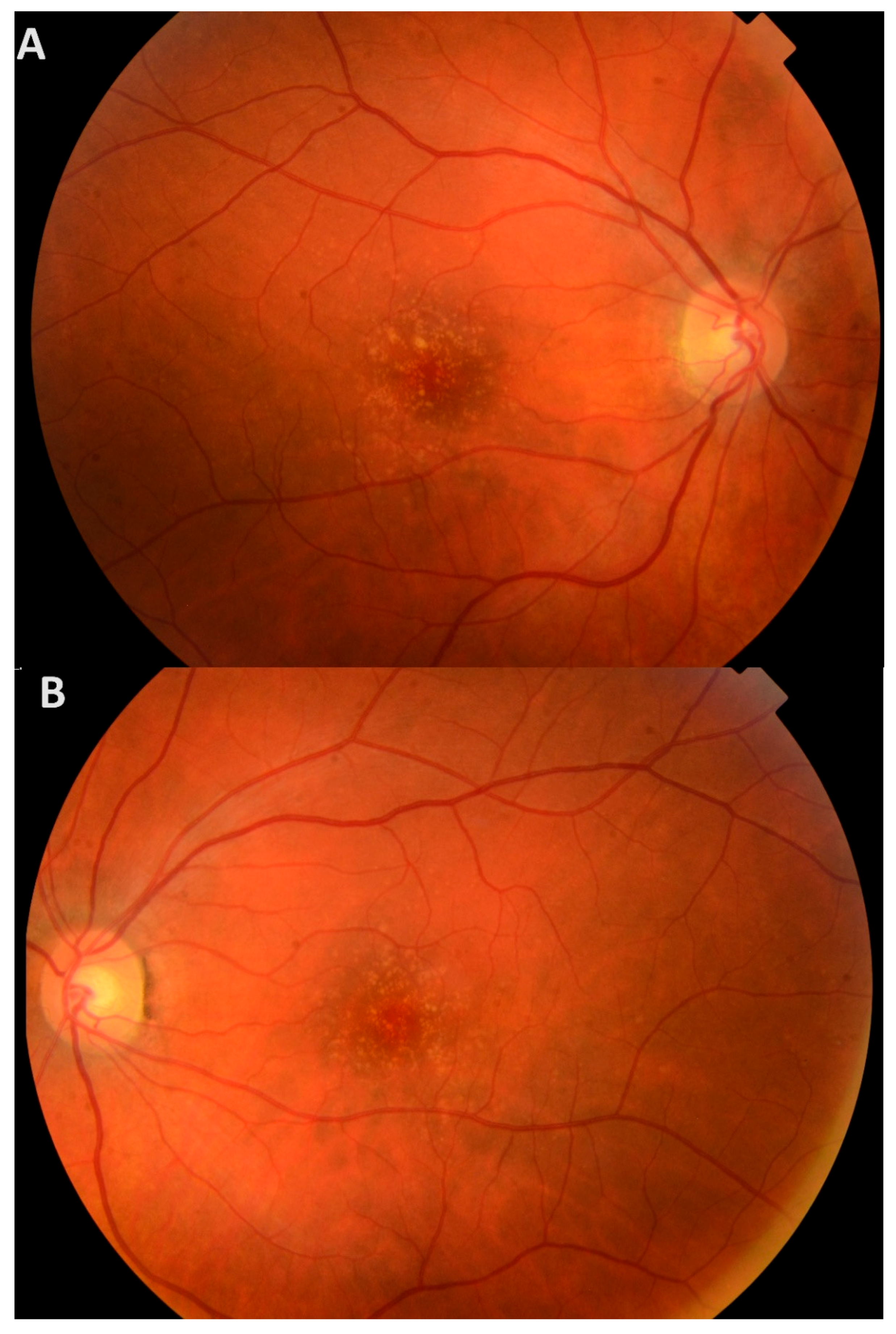 Medicina 61 01649 g002 Medicina 61 01649 g002