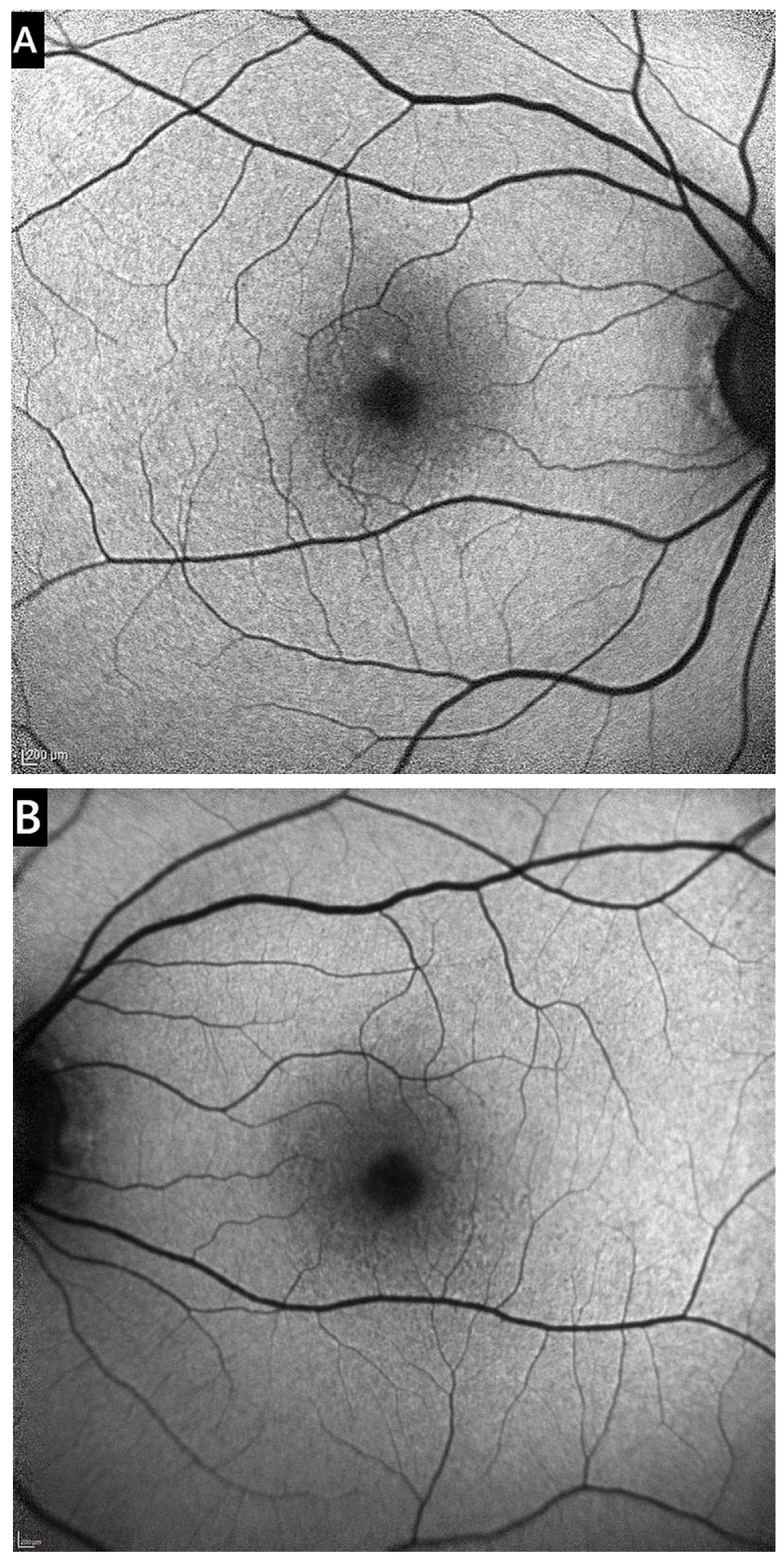 Medicina 61 01649 g003 Medicina 61 01649 g003