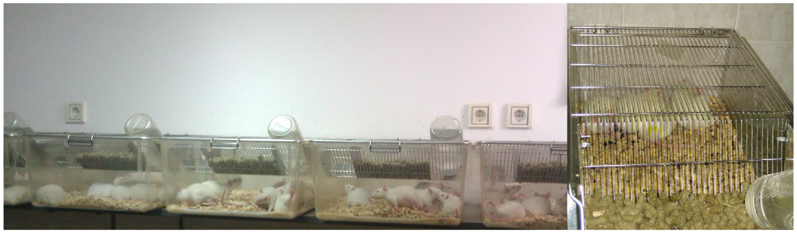 Medicina 61 01651 g001 Medicina 61 01651 g001