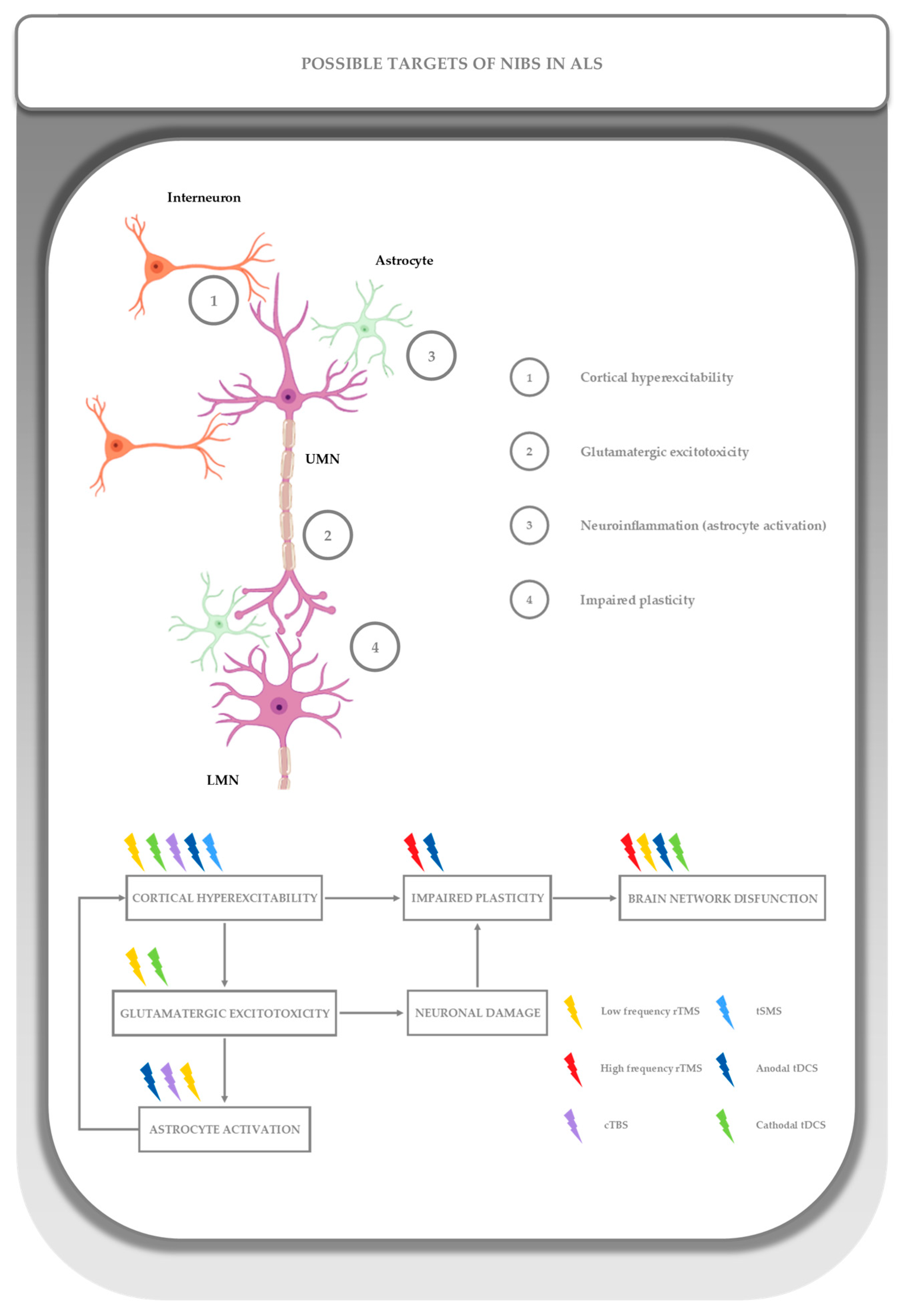 Medicina 61 01685 g003 Medicina 61 01685 g003