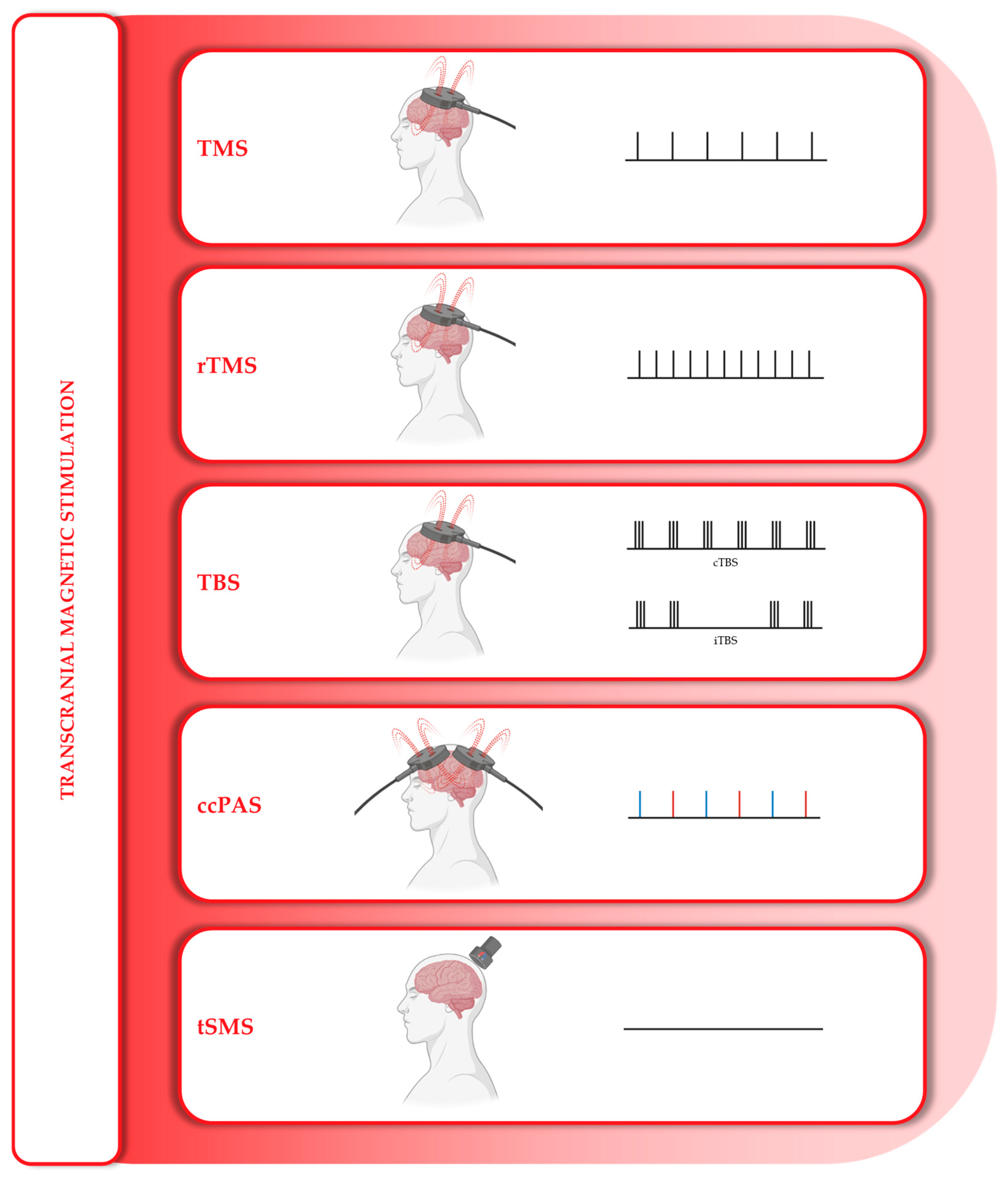 Medicina 61 01685 g004 Medicina 61 01685 g004