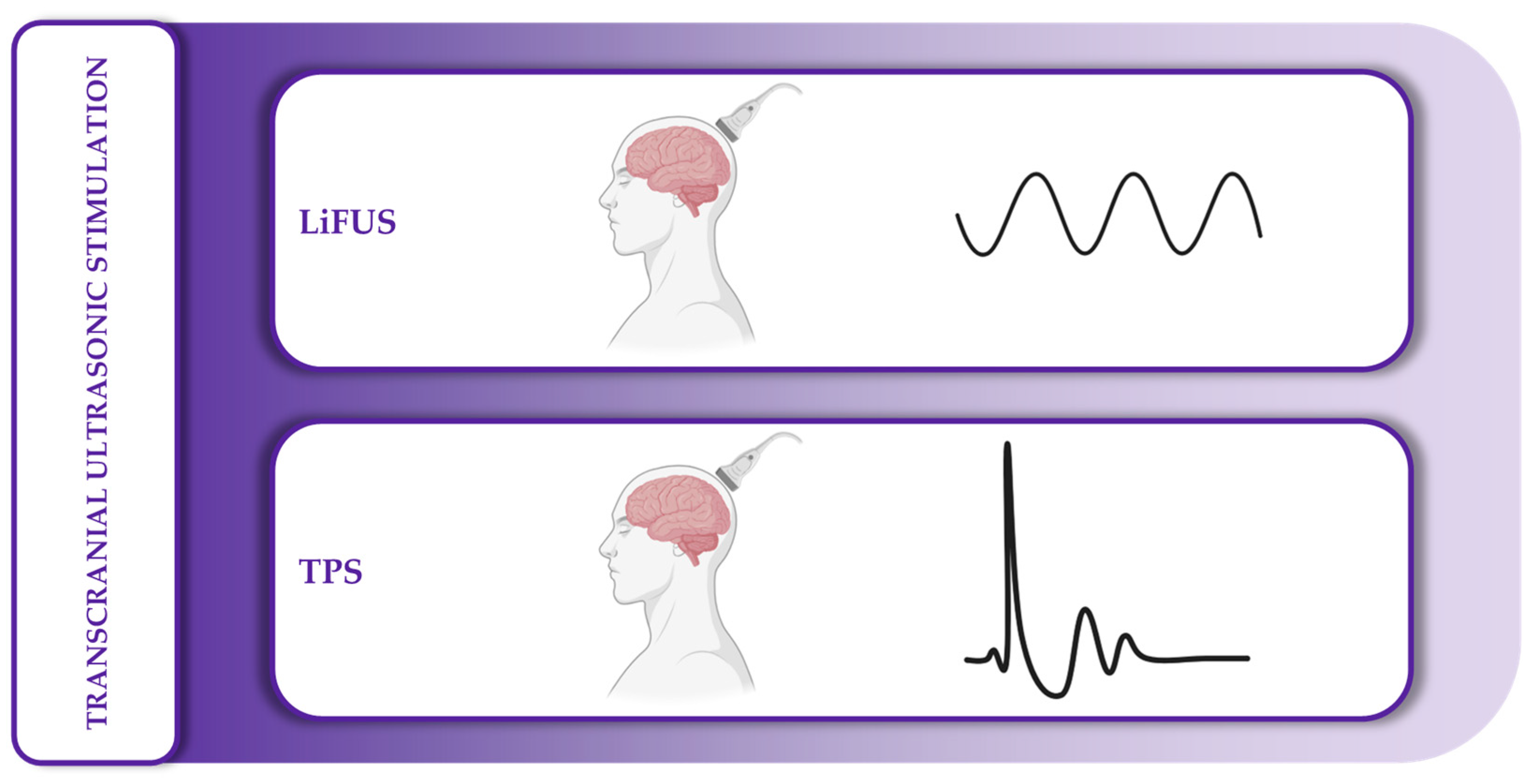 Medicina 61 01685 g006 Medicina 61 01685 g006