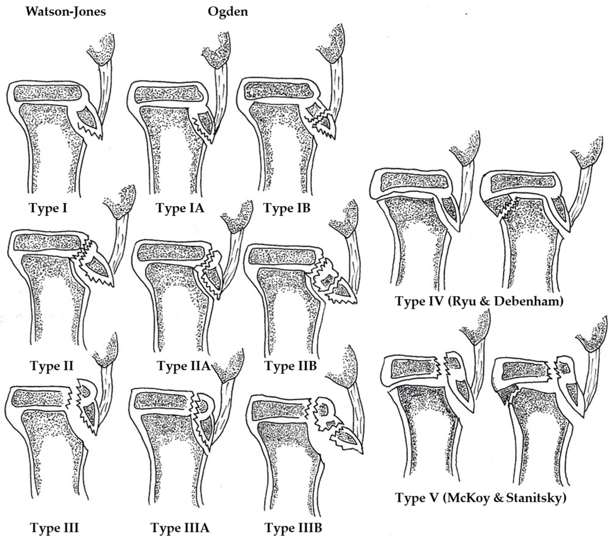 Medicina 61 01698 g001 Medicina 61 01698 g001