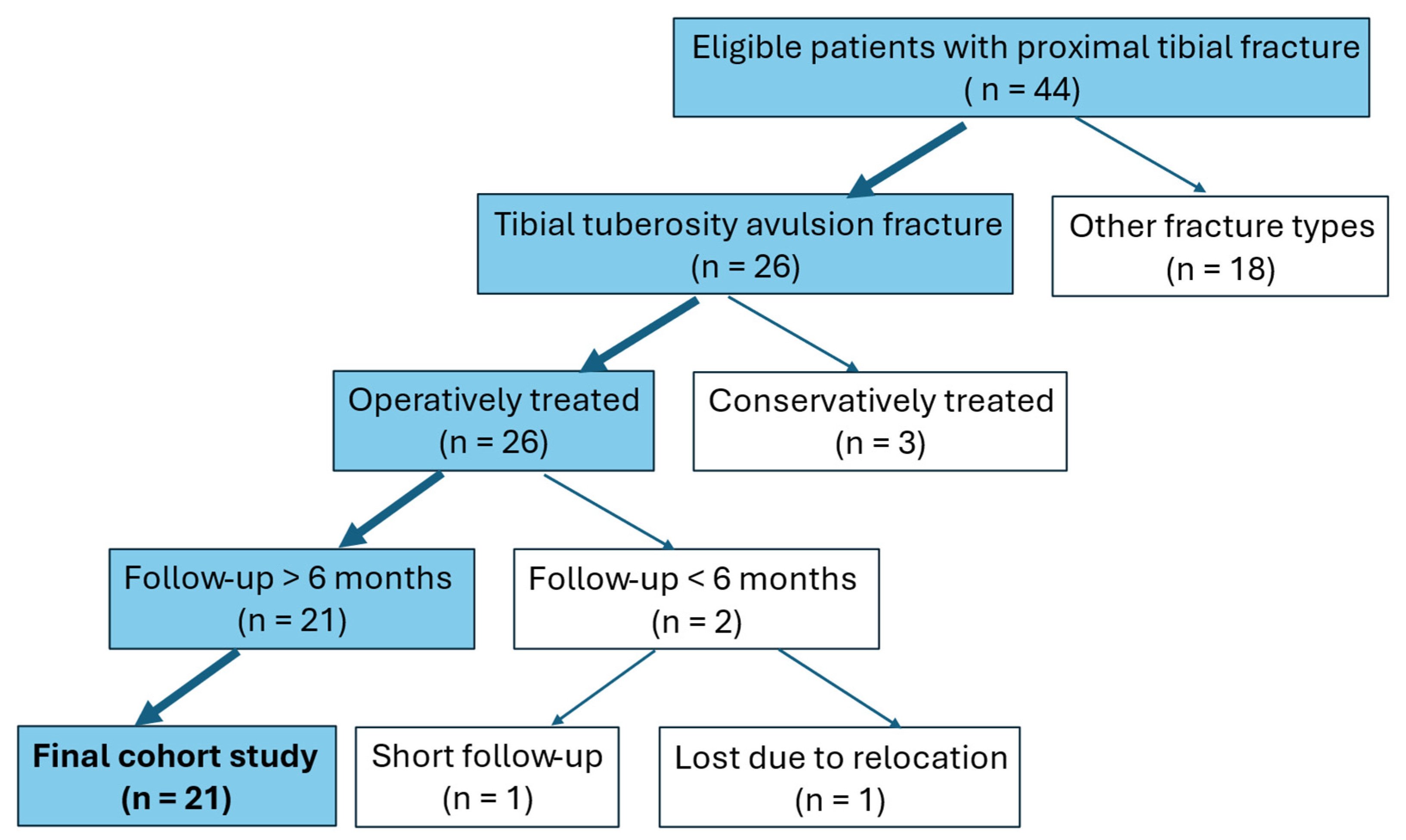 Medicina 61 01698 g002 Medicina 61 01698 g002