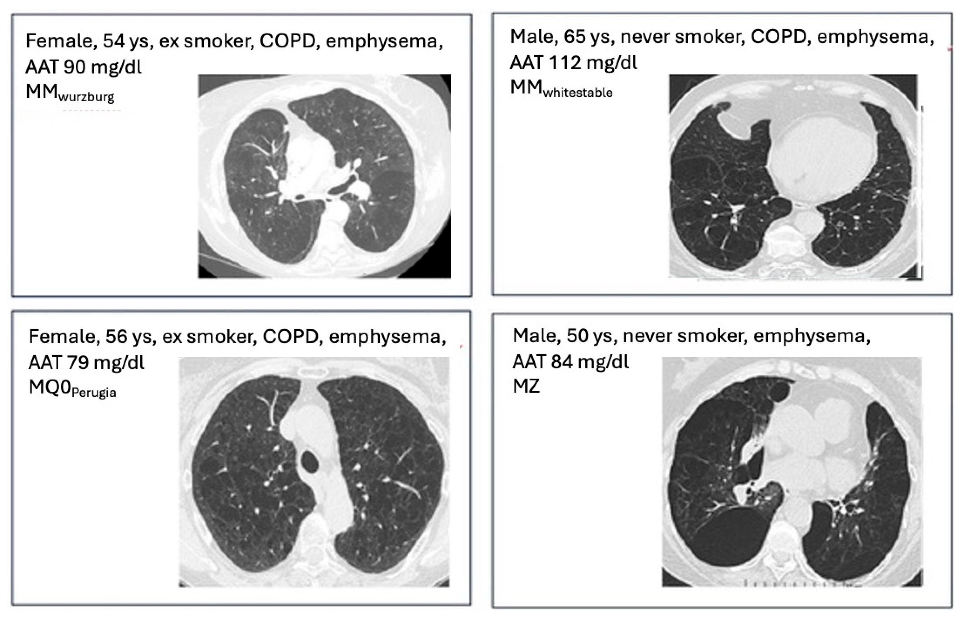 Medicina 61 01747 g001 Medicina 61 01747 g001
