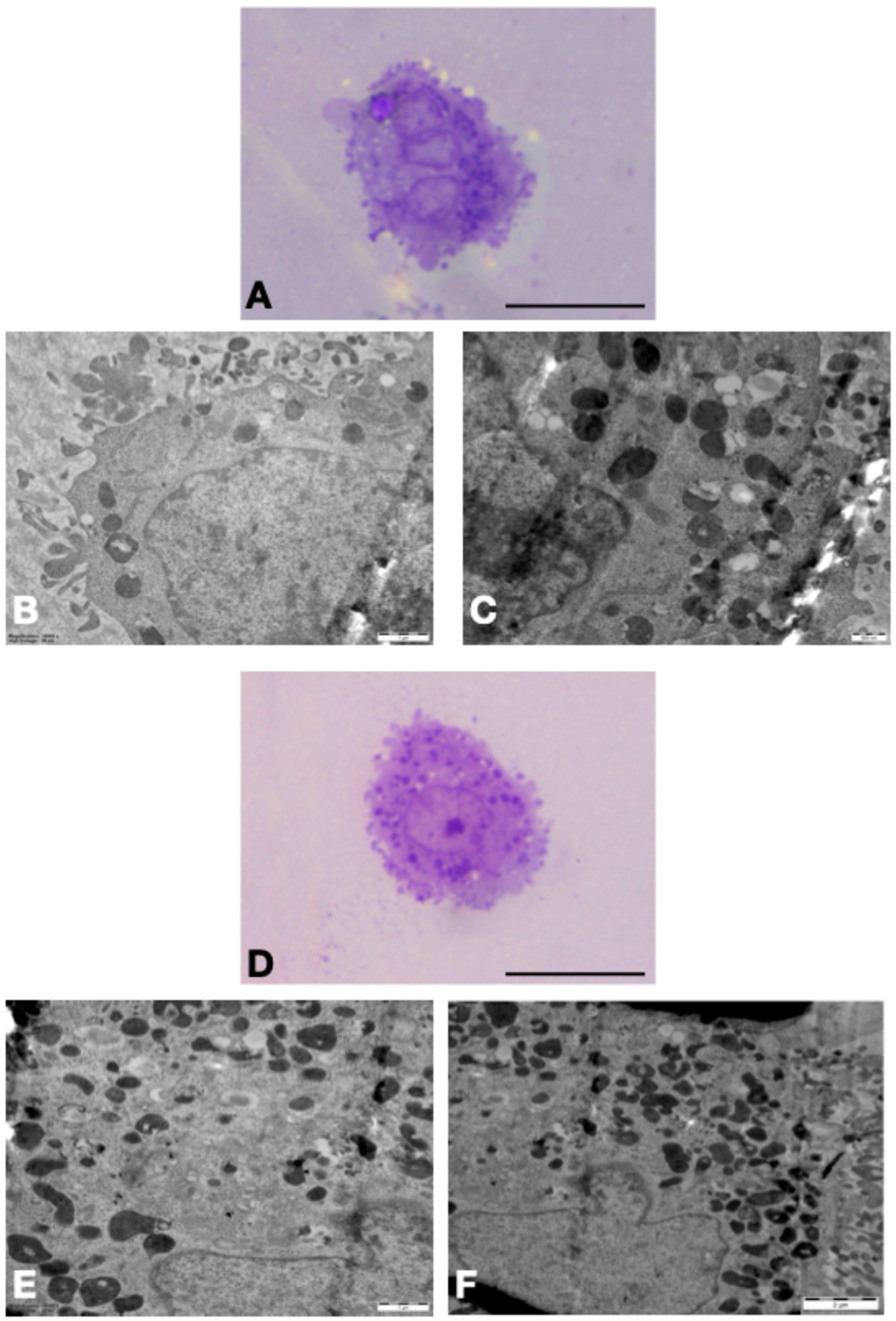 Medicina 61 01754 g003 Medicina 61 01754 g003